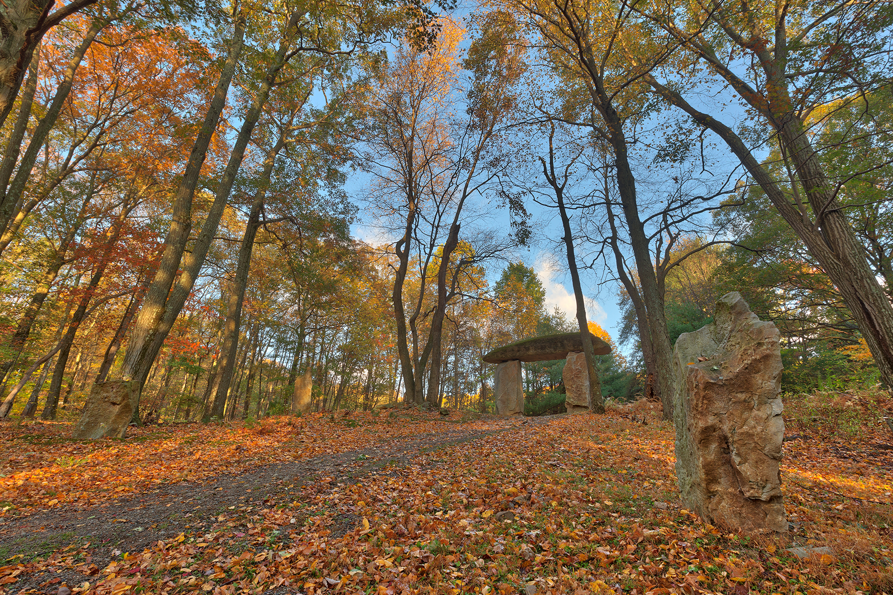 Autumn megalith forest trail - hdr photo
