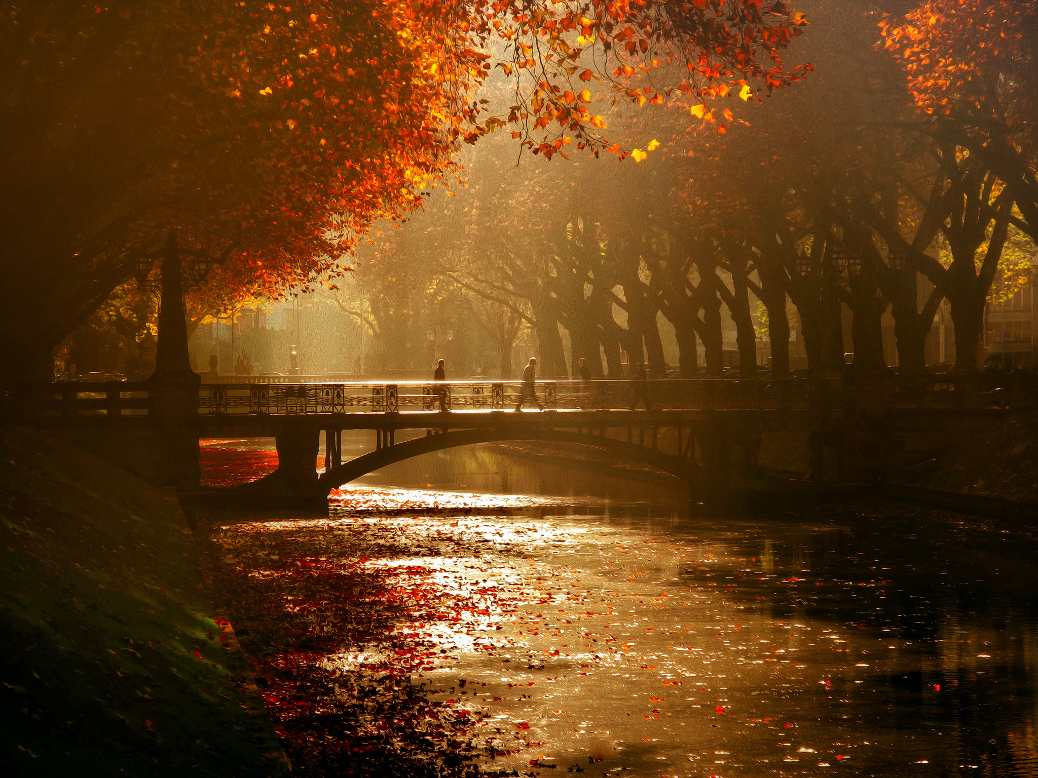Dusseldorf Royal avenue bridge canal trees autumn mood wallpaper ...
