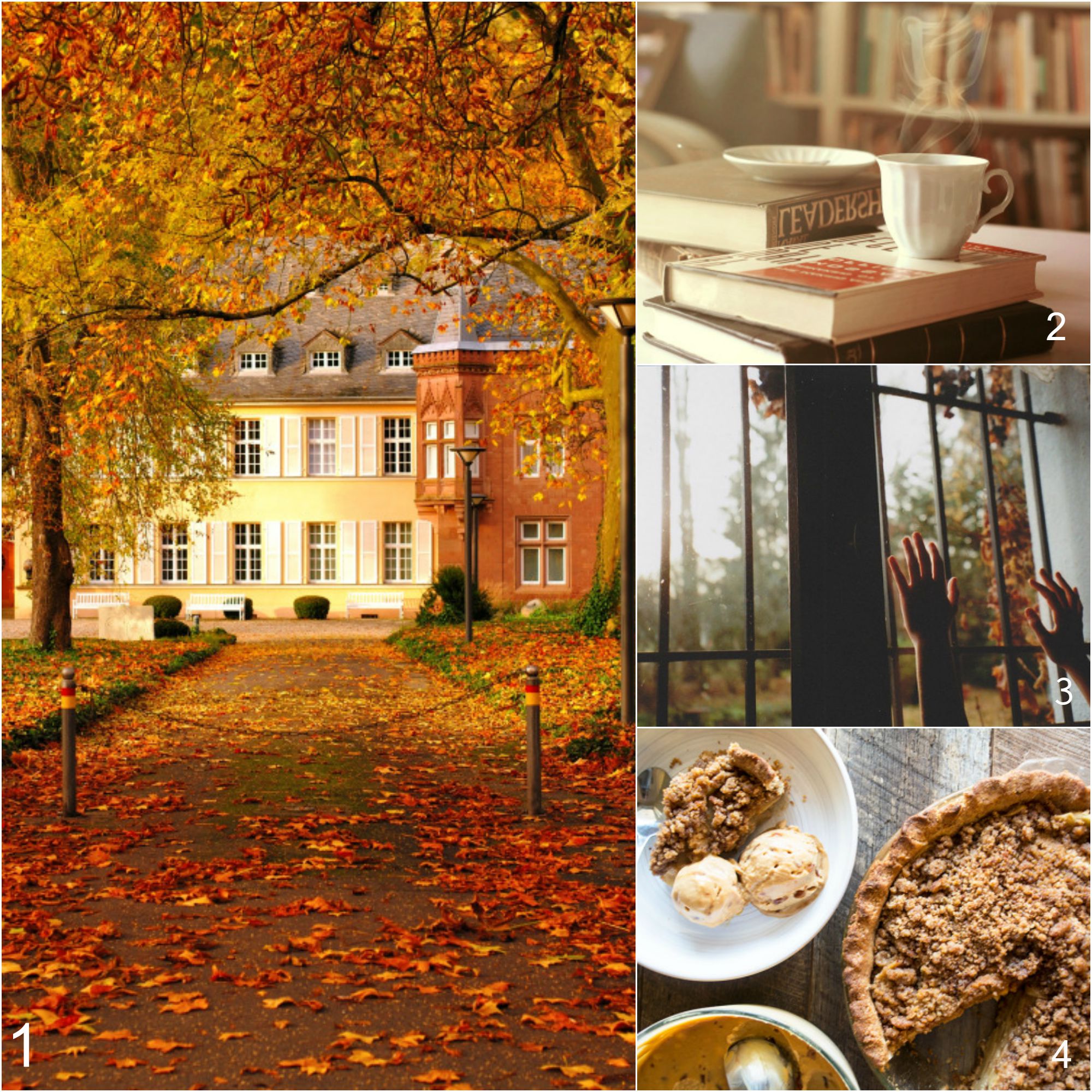Autumn mood board inspiration. Hello, colorful September! Please, be ...