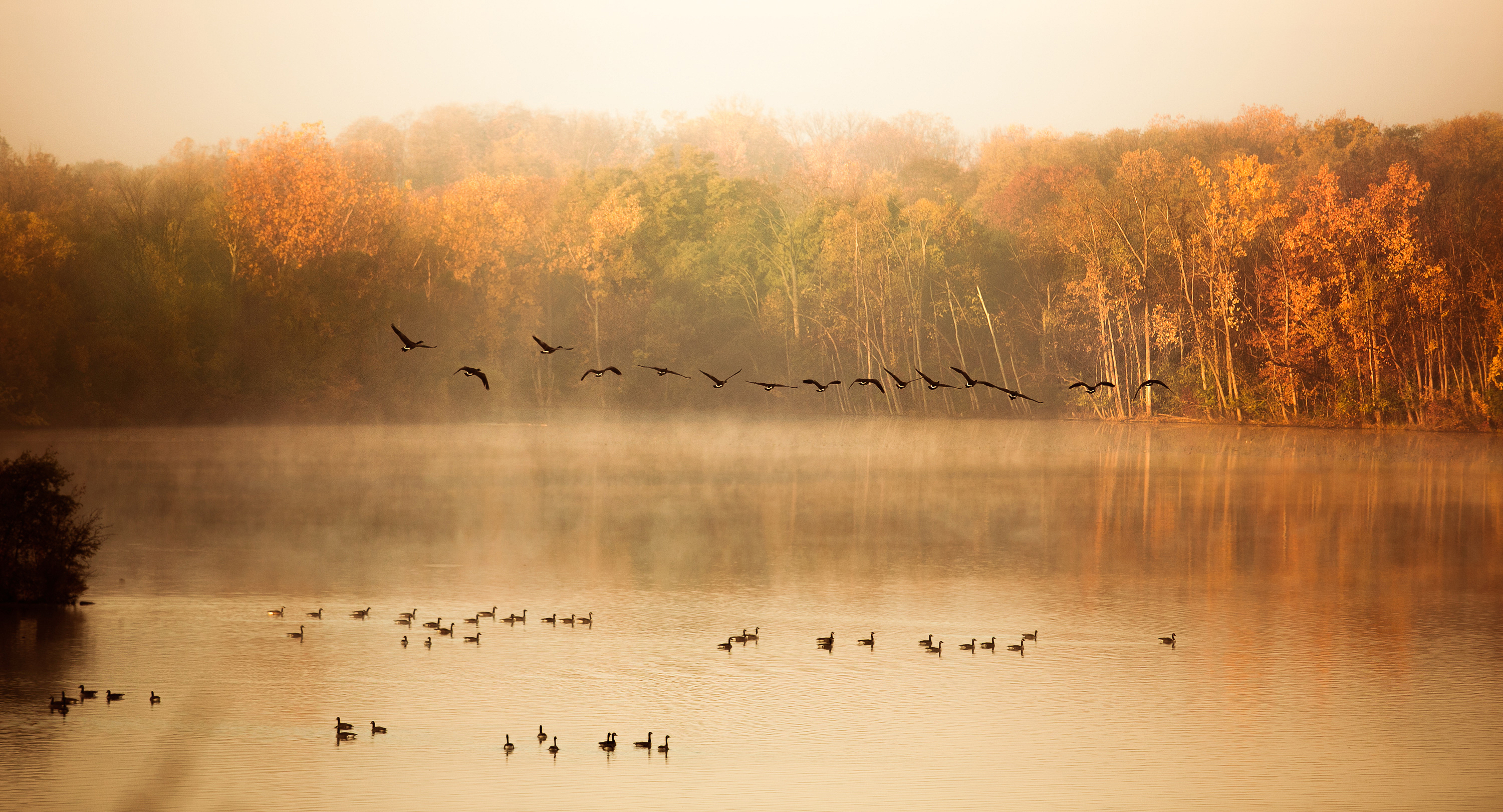 Nature fall pond lake trees duck mood autumn wallpaper | 3000x1621 ...