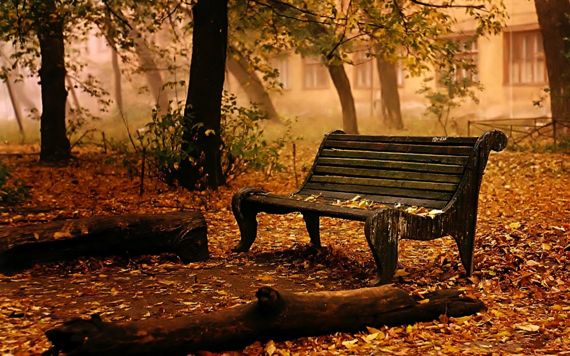 Nature: Autumn Leaves Chair Landscapes Mood Bench Seat Trees Fall ...
