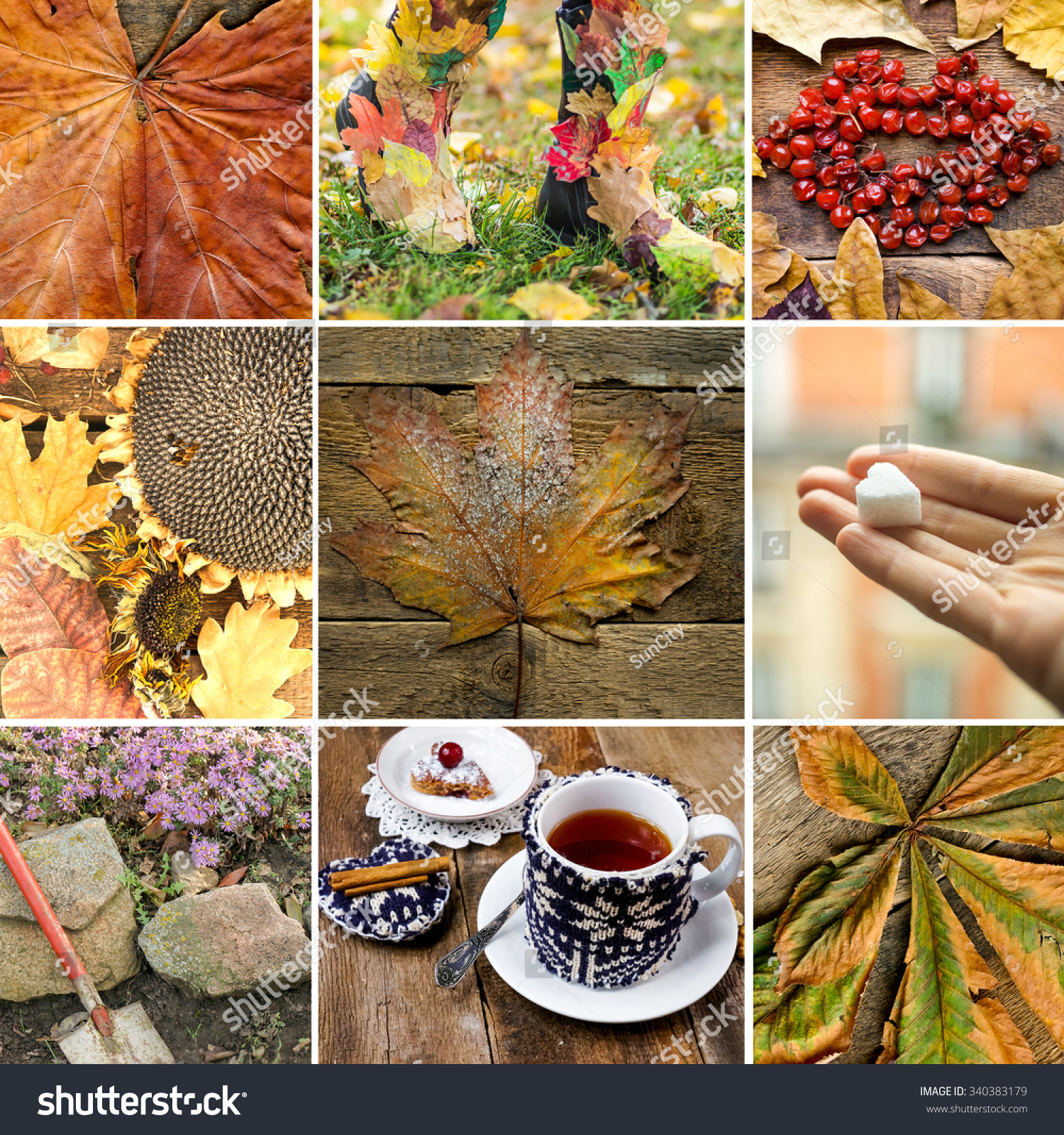 Hello Autumn Collage Nine Photos Autumn Stock Photo (Royalty Free ...
