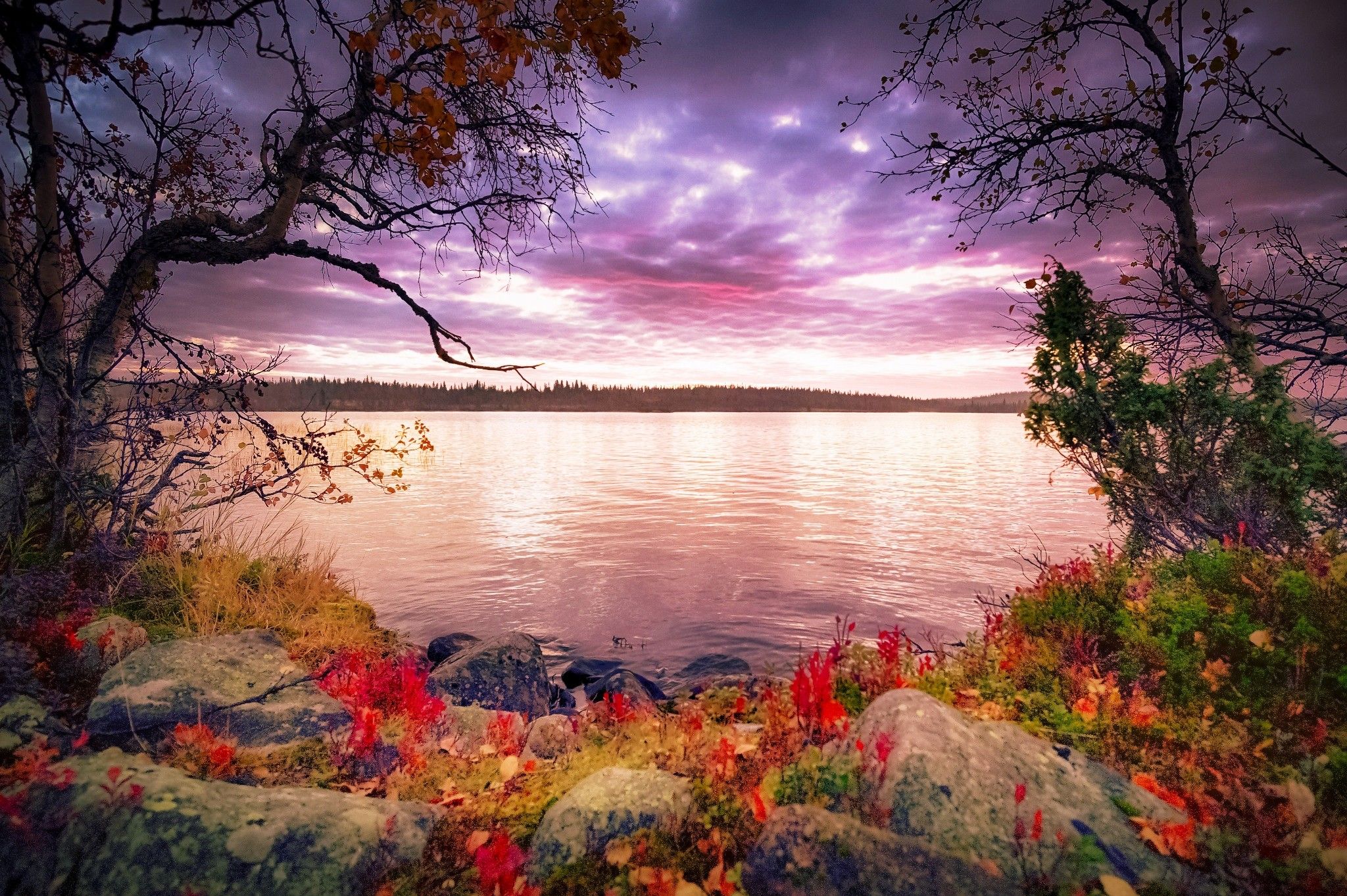 lakes-autumn-morning-plants-fall-tranquility-sky-beautiful-clouds ...