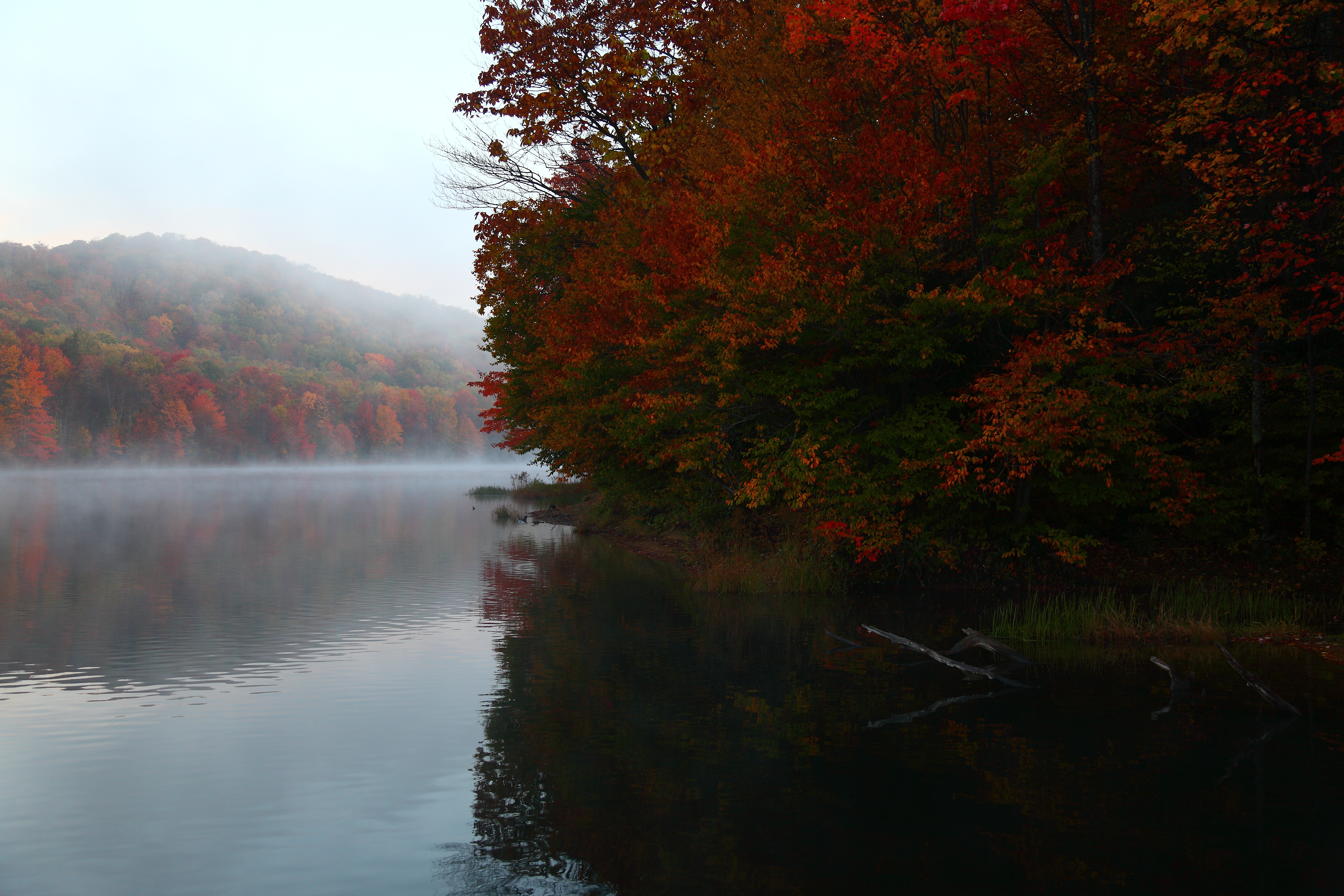 File:Fall-foliage-mountain-lake-early-morning-fog - West Virginia ...