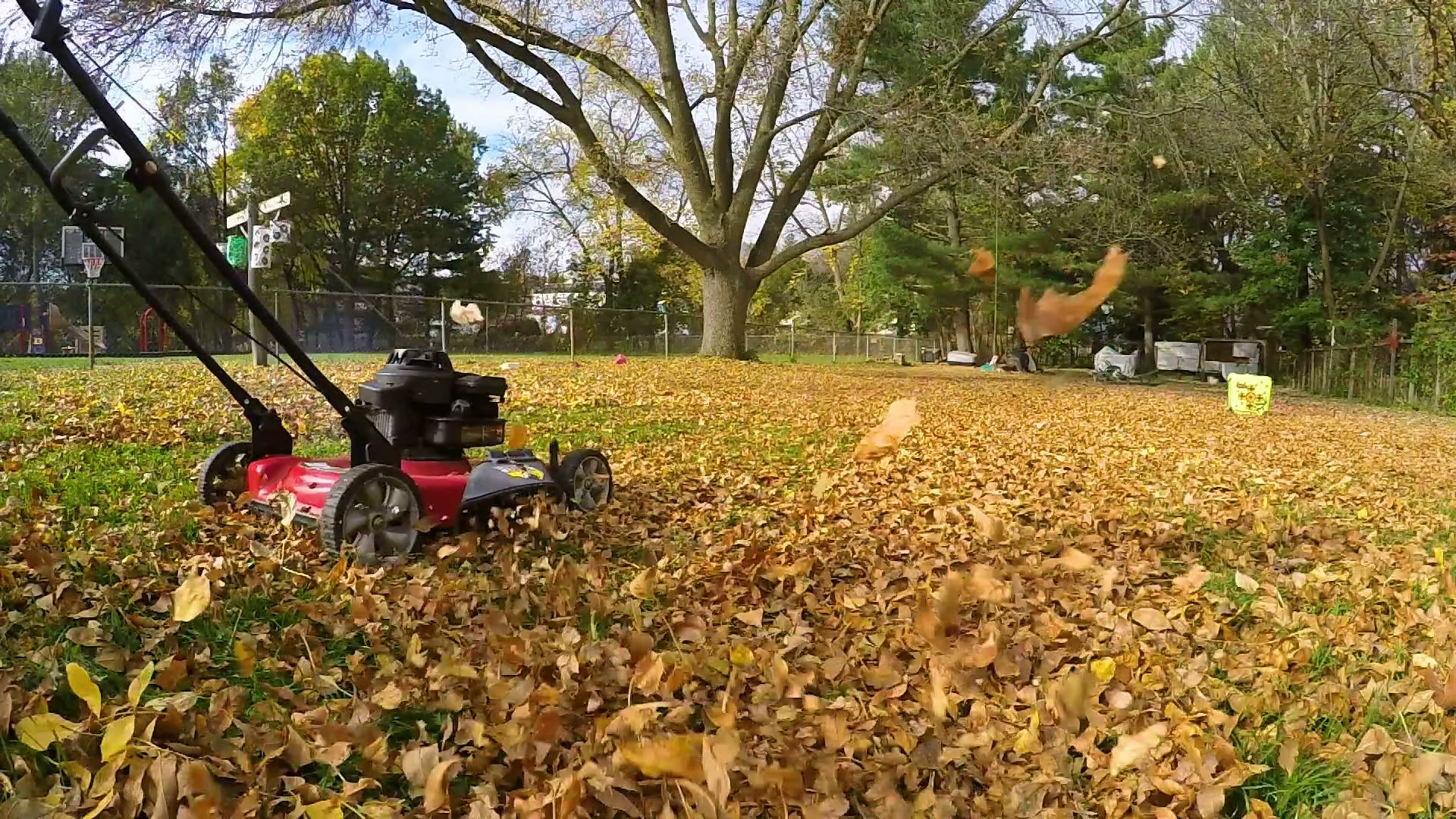 lawn mower blows autumn leaves past camera in slow motion Stock ...