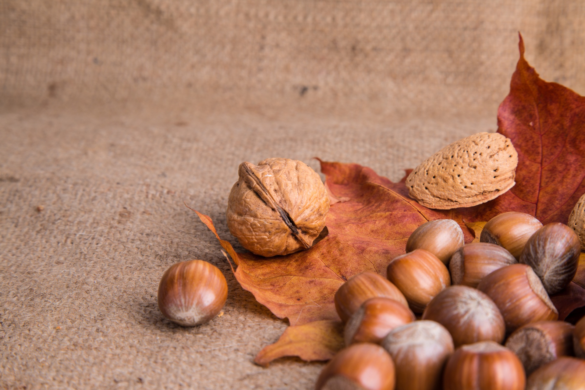 nuts-and-autumn-leaf-14624332252Cs | Valley Foods