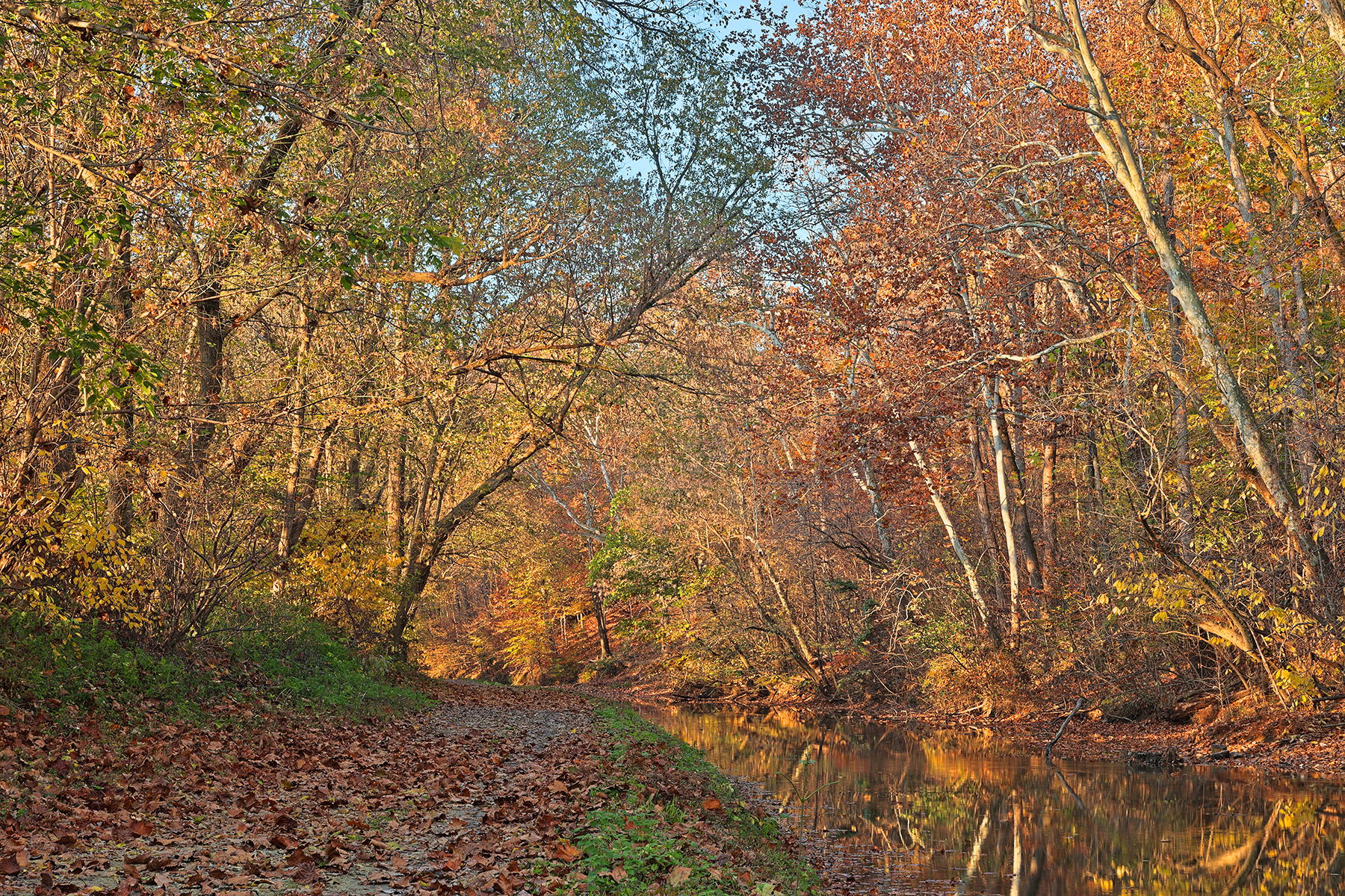 Autumn pennyfield canal - hdr photo