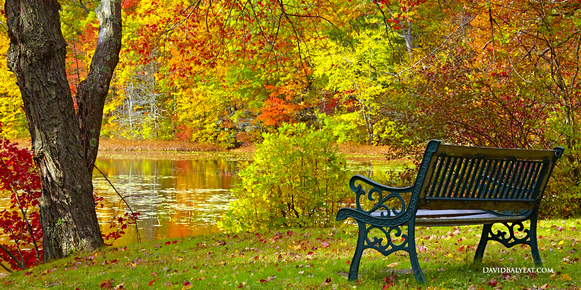 Autumn Bench - Connecticut • David Balyeat Photography Portfolio