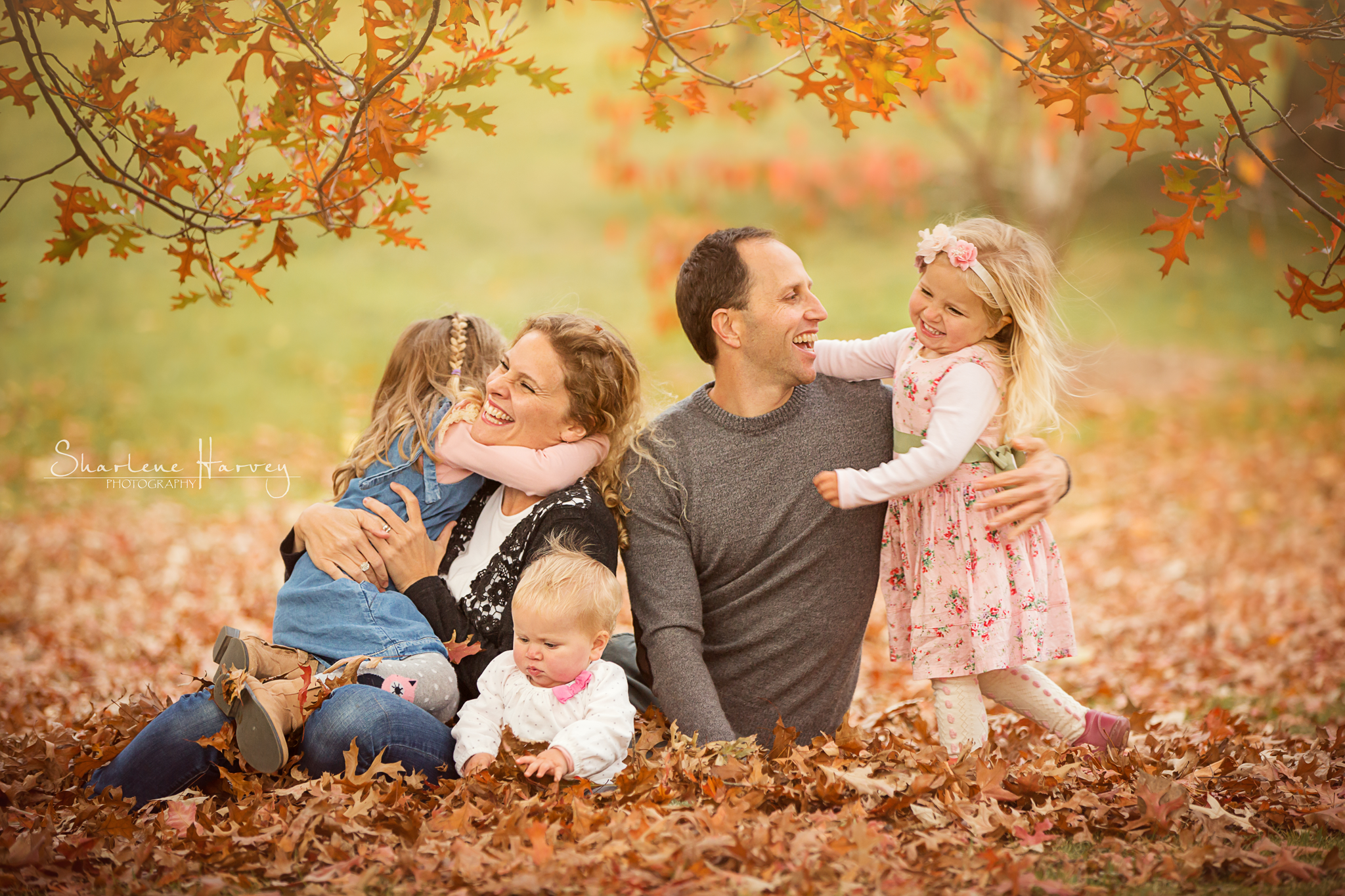 Autumn Family Photoshoot Archives - Mornington Peninsula Dance ...