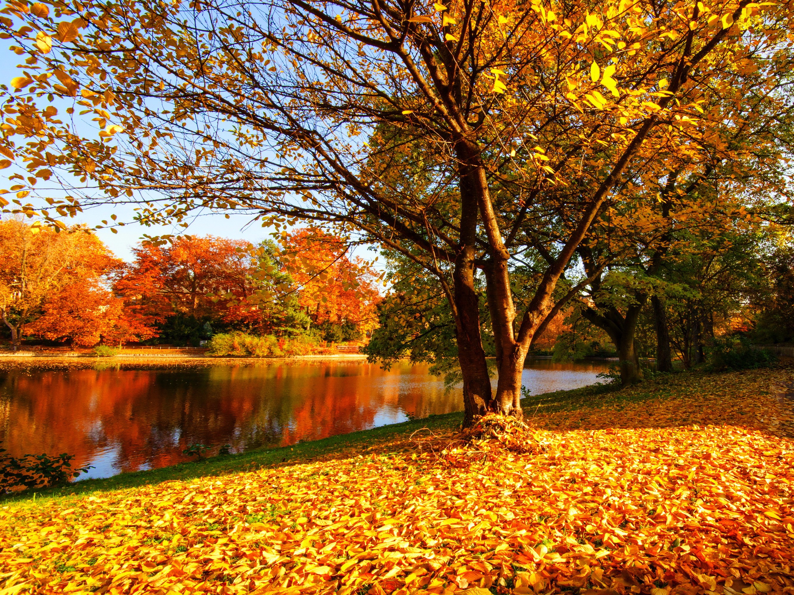 Other: Serenity Fall Leaves Lake Reflection Pretty Lovely Beautiful ...