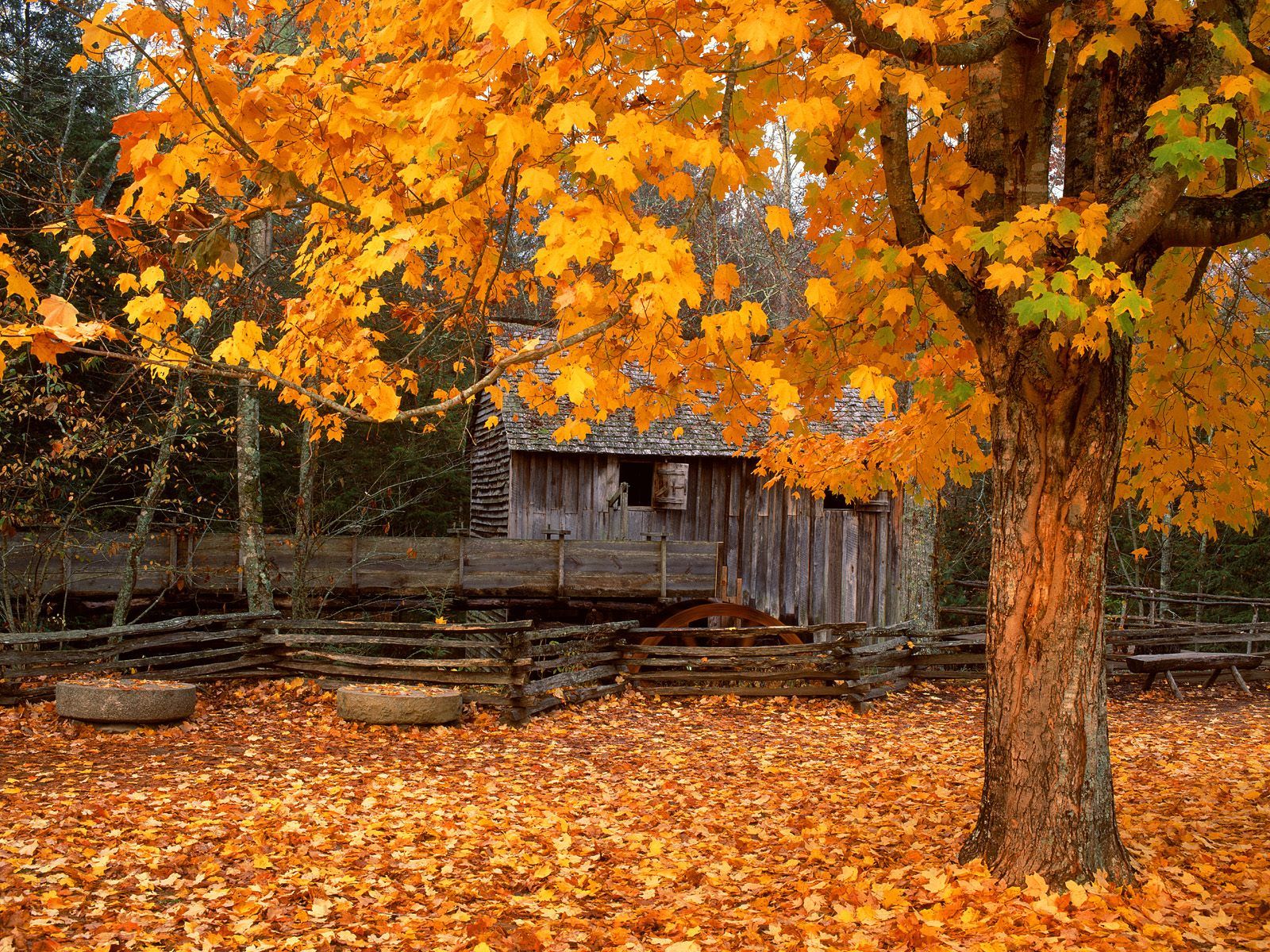 Cades Cove, TN in the fall. Smoky Mountains | Smoky Mountains & All ...