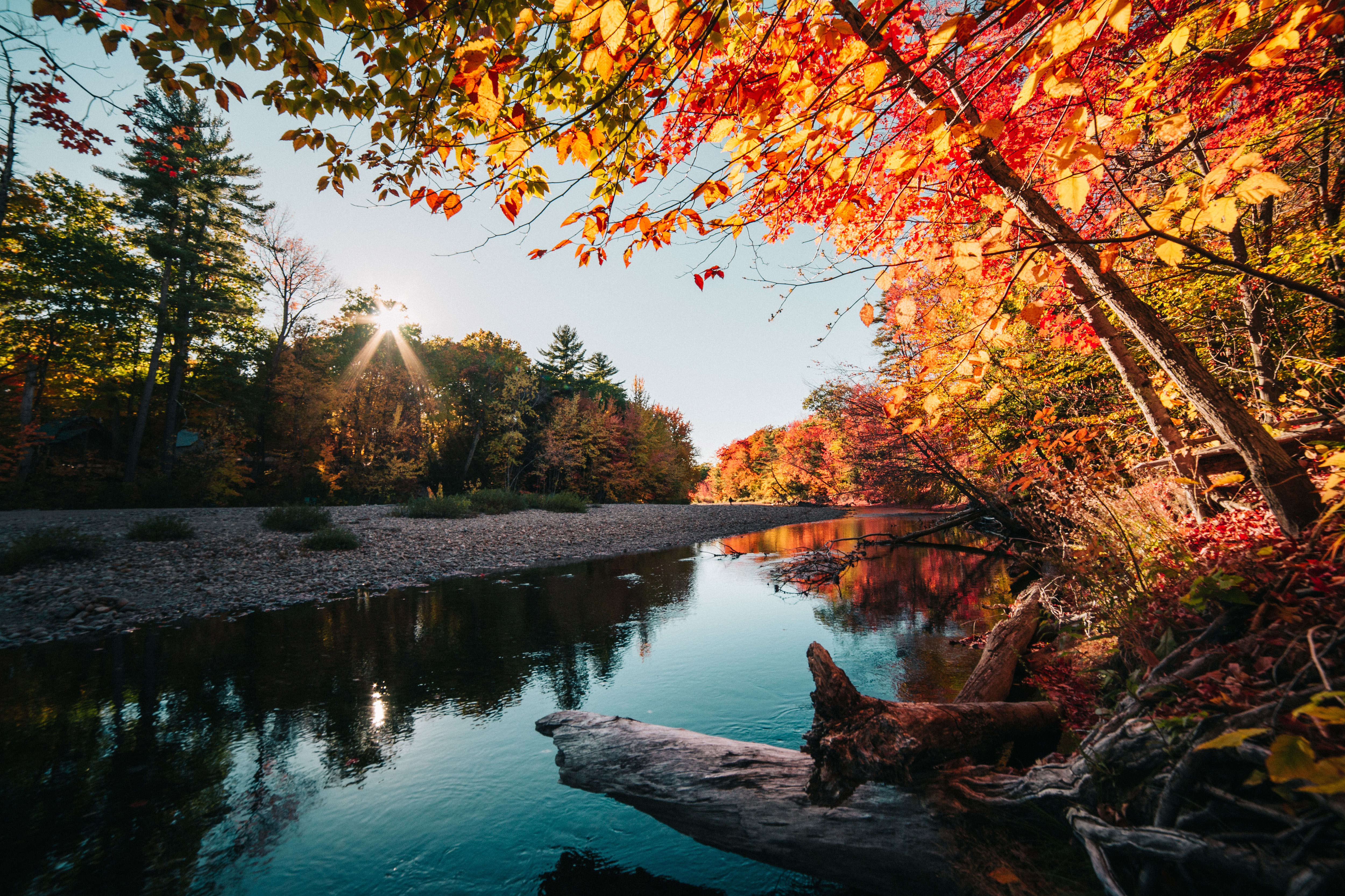 Free photo  Autumn  River Autumn  Stone River Free 