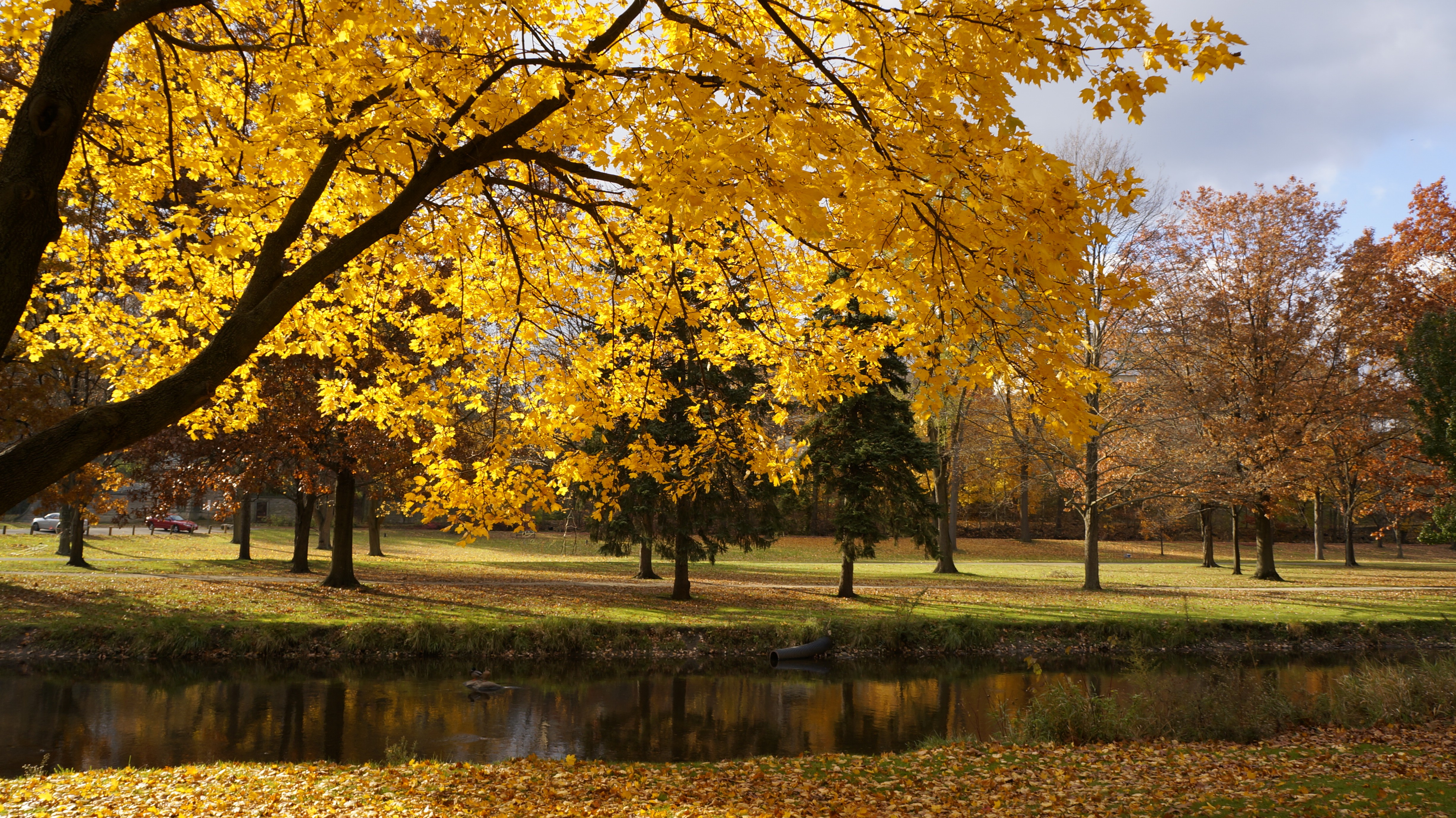 Nature: Simply Beautiful Fall Gorgeous Autumn Scene Scenic Wallpaper ...