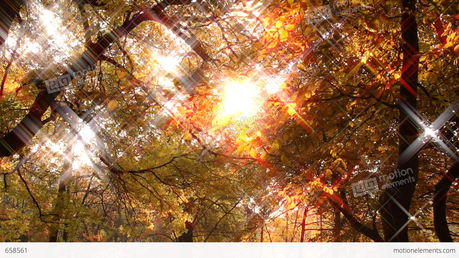Beautiful Autumn Scene 16 Falling Leaves Stylized Star Filter Stock ...