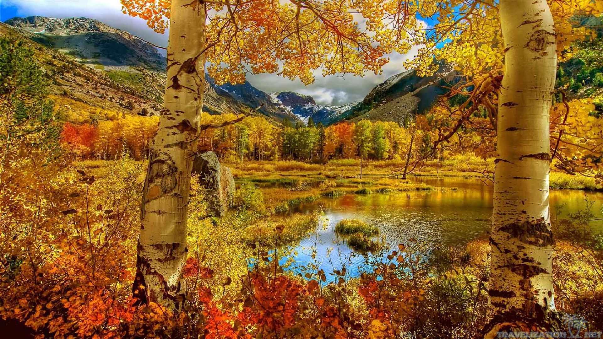 Spectacular Autumn Scenes Wallpapers | Travelization | FALL SCENES ...