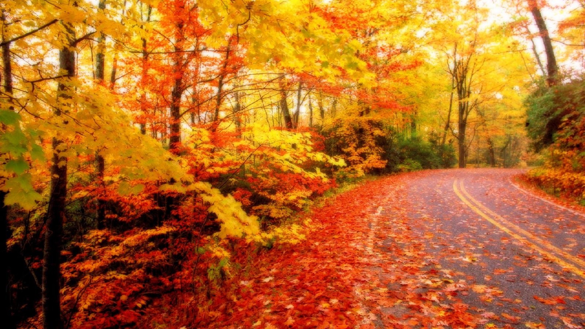 Beautiful-Autumn-Season-Wallpapers-HD_1600x1000 - HD Wallpaper