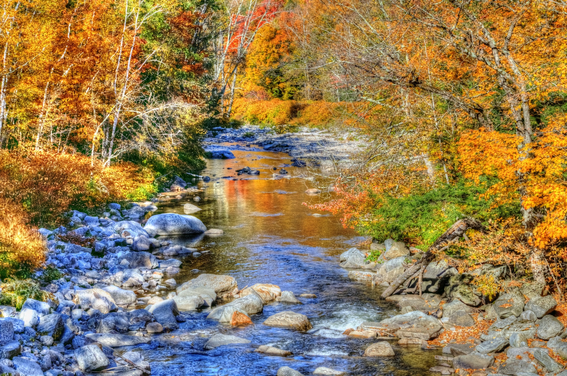 Autumn Stream Free Stock Photo - Public Domain Pictures