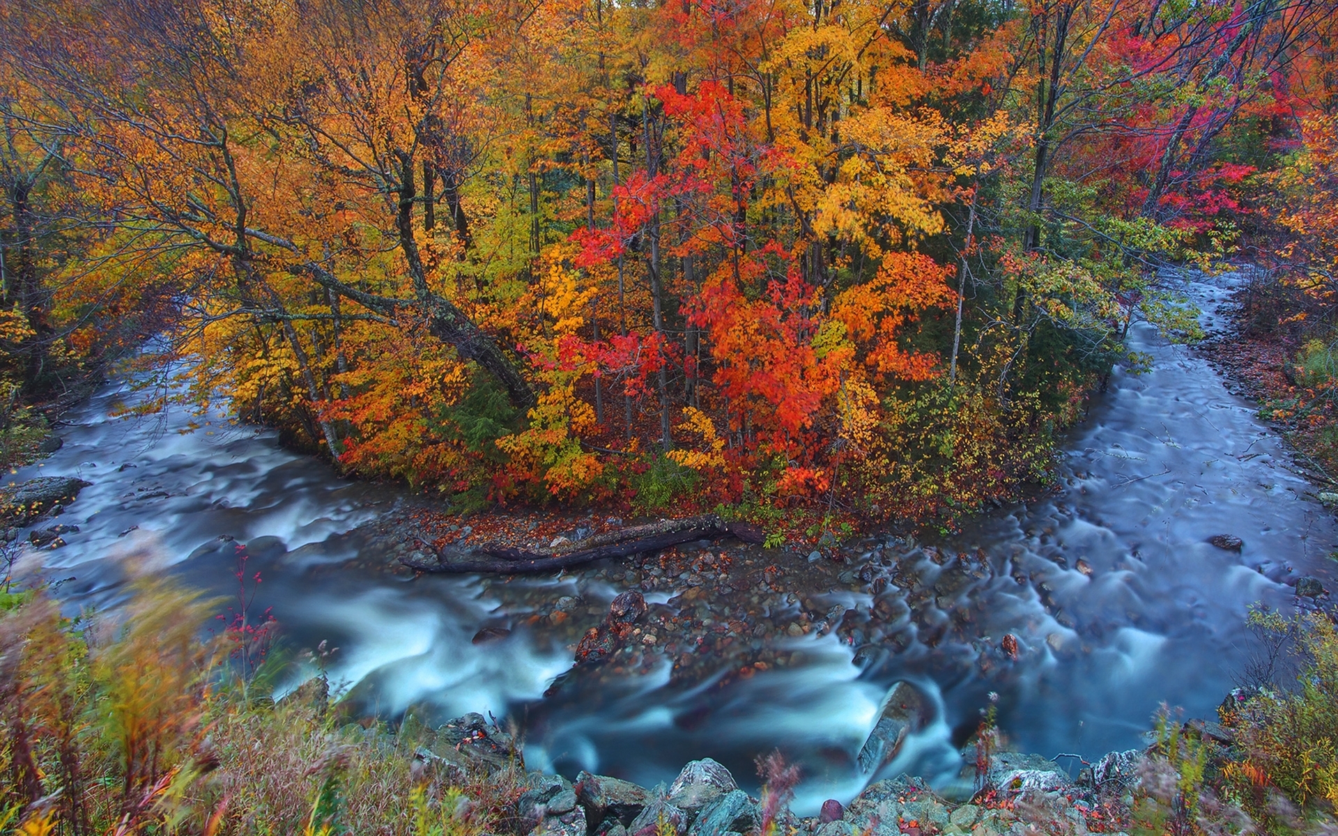 Autumn Forest & Wild Stream wallpapers | Autumn Forest & Wild Stream ...