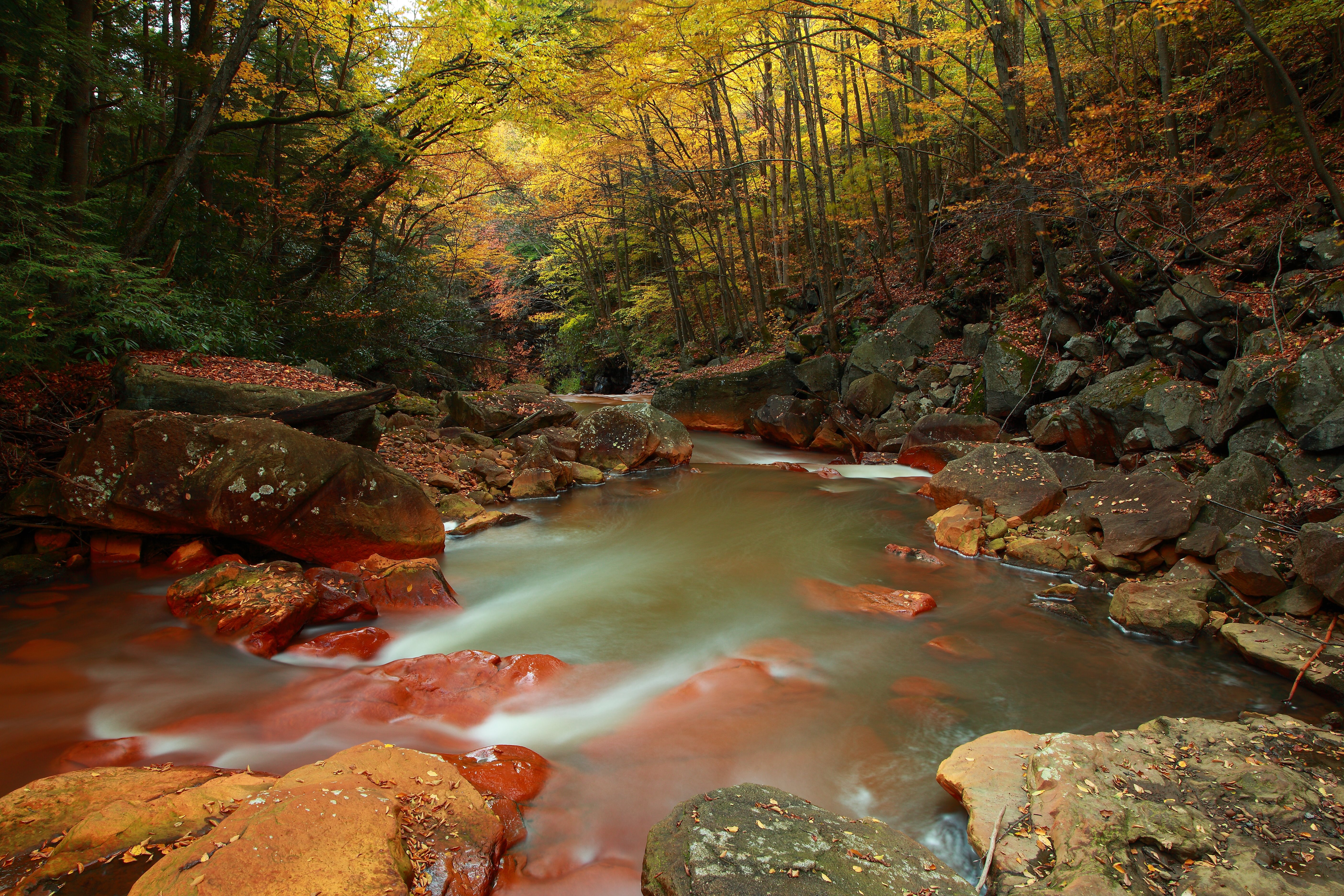 File:Autumn-creek-rocks-stream - West Virginia - ForestWander.jpg ...
