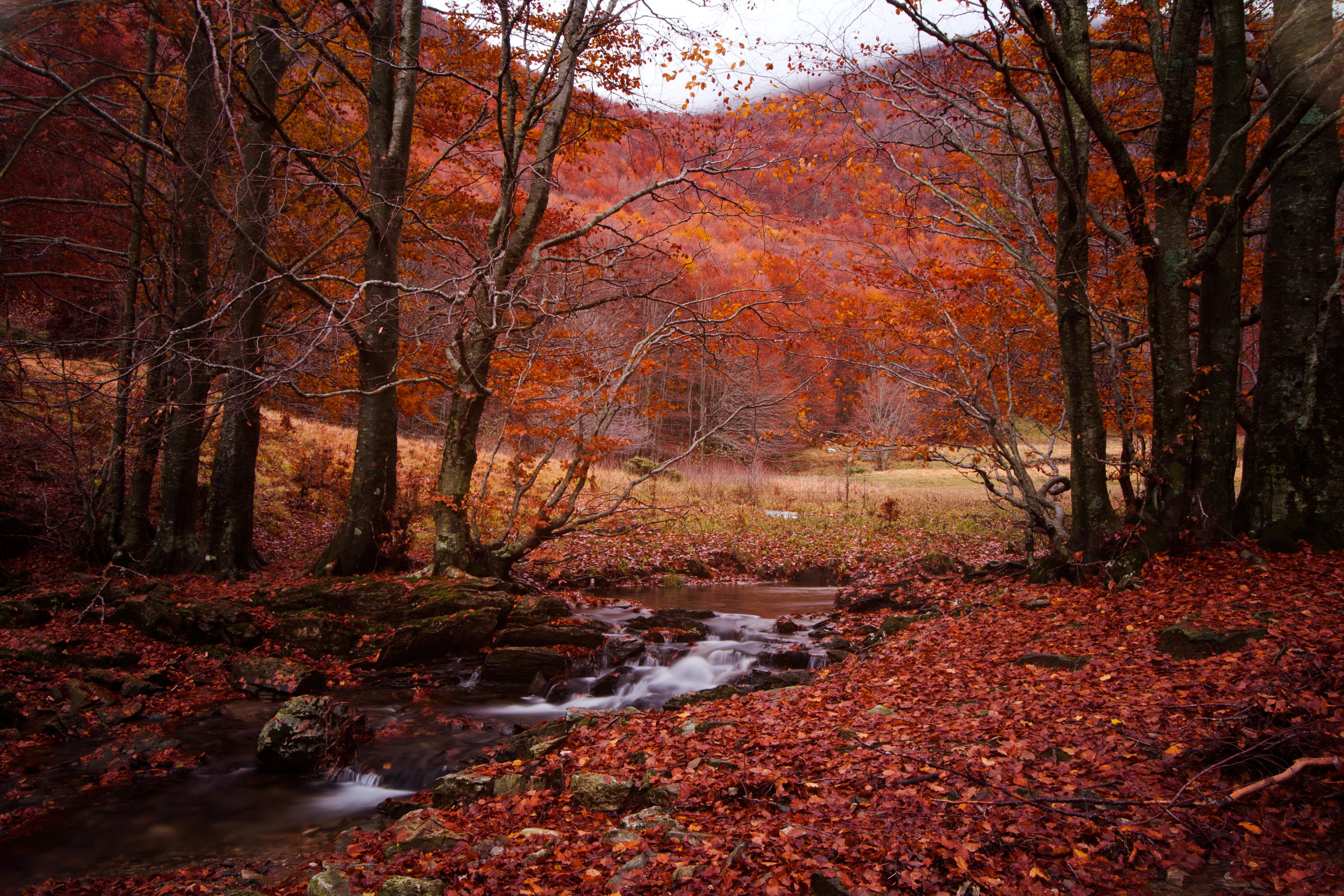 Pictures Nature Stream Autumn Seasons 3072x2048