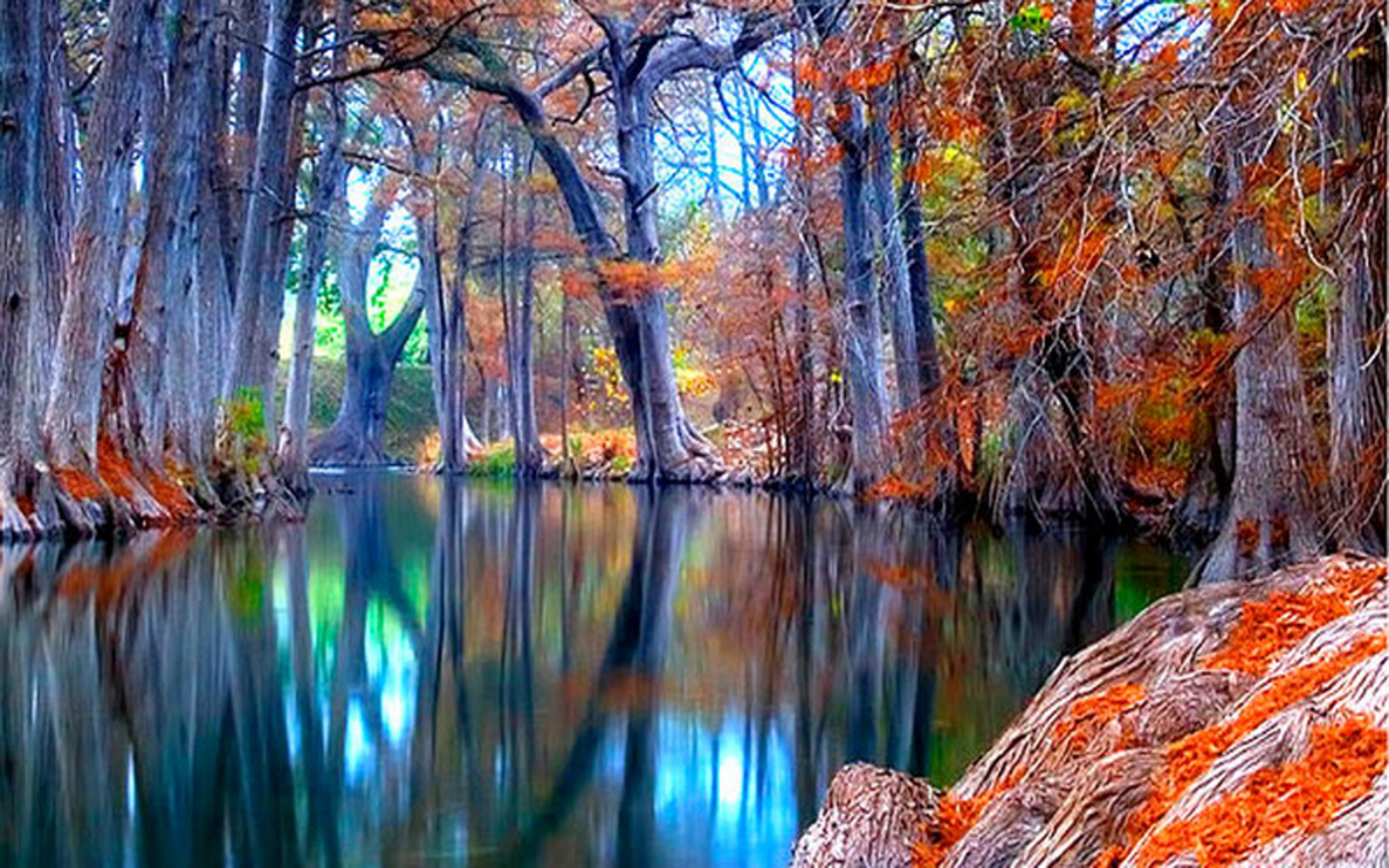 Nature Autumn Stream Backgrounds Wallpapers : Wallpapers13.com