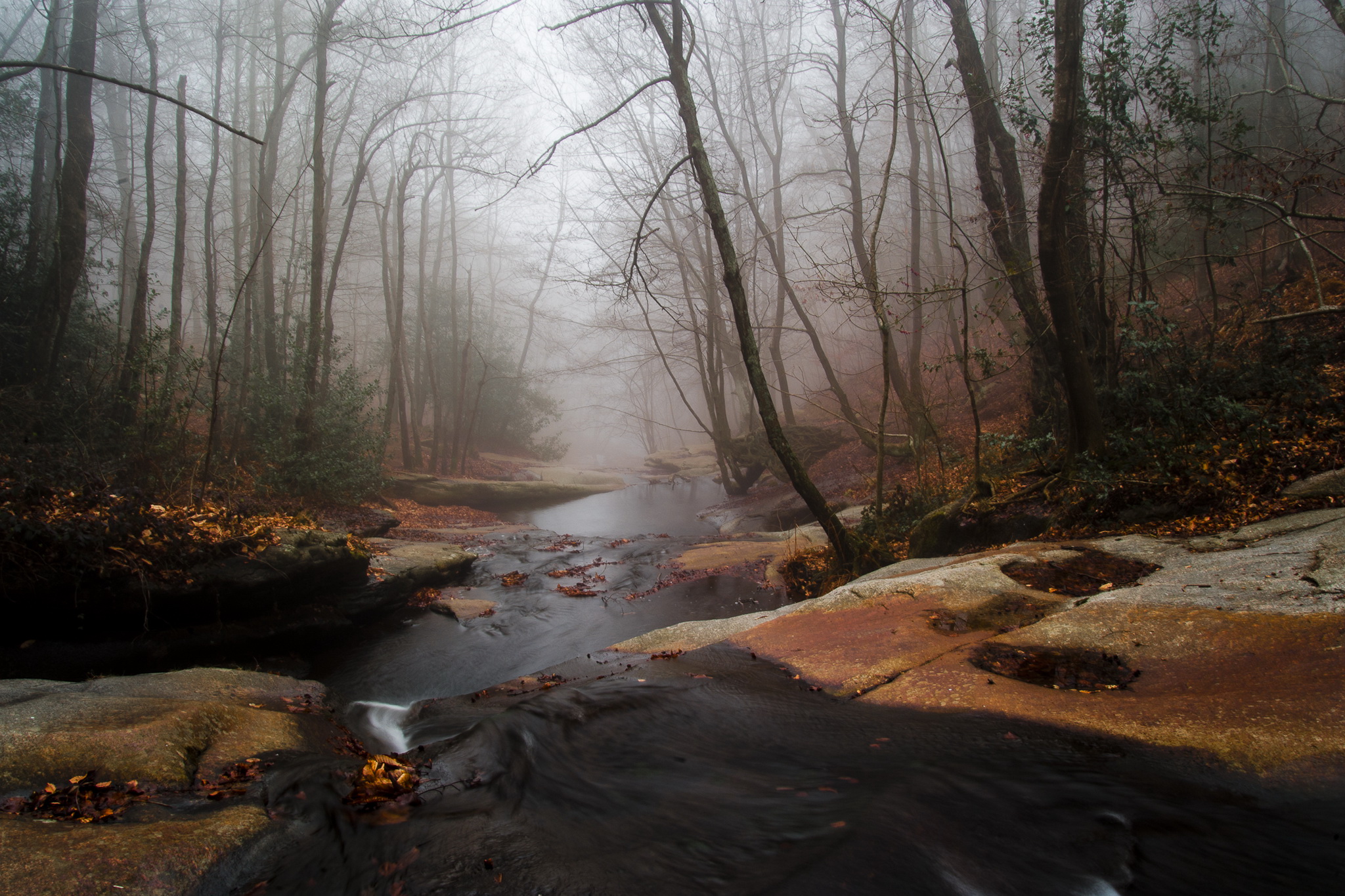 Autumn stream / 2048 x 1365 / Forest / Photography | MIRIADNA.COM