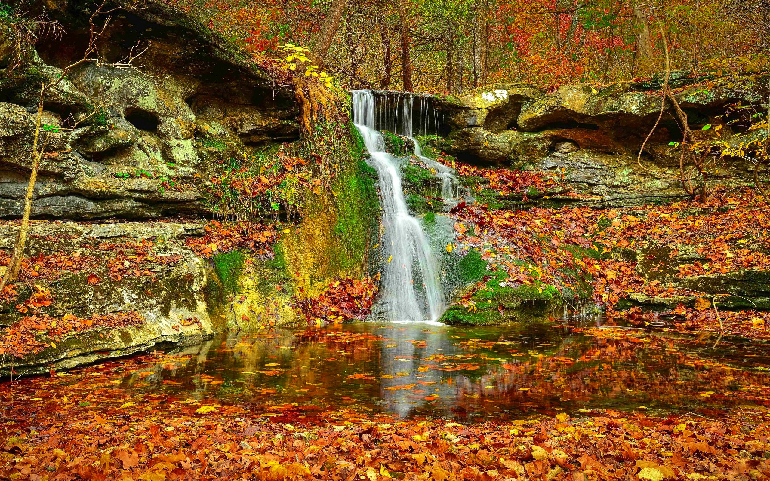 Waterfall: Forest Fall Autumn Stream Lovely Waterfall Serenity ...