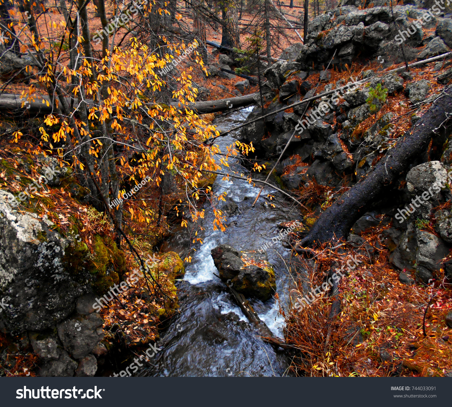Rocky Autumn Stream Pole Creek Fall Stock Photo (Edit Now)- Shutterstock