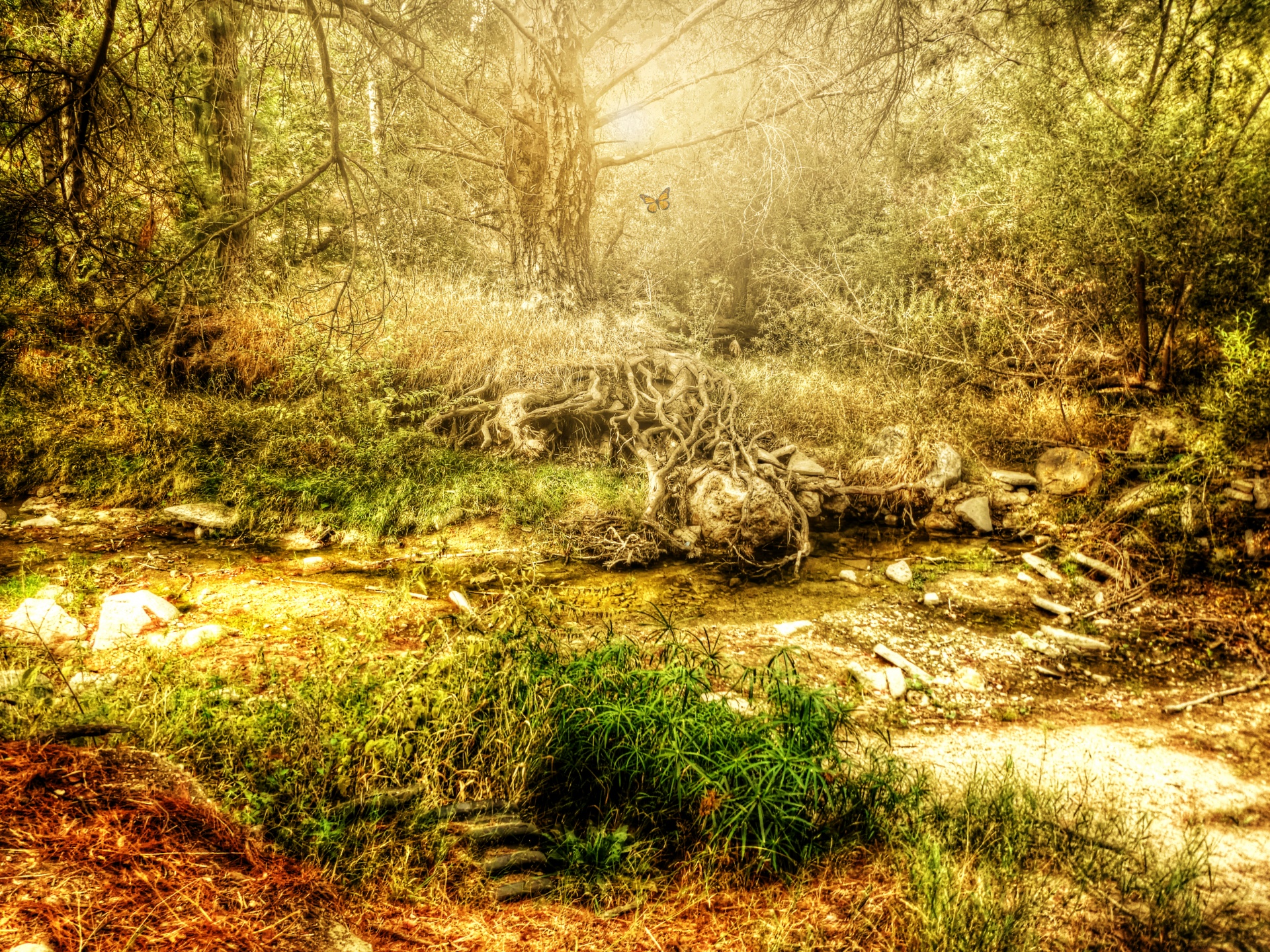 Mystical Autumn Stream Free Stock Photo - Public Domain Pictures