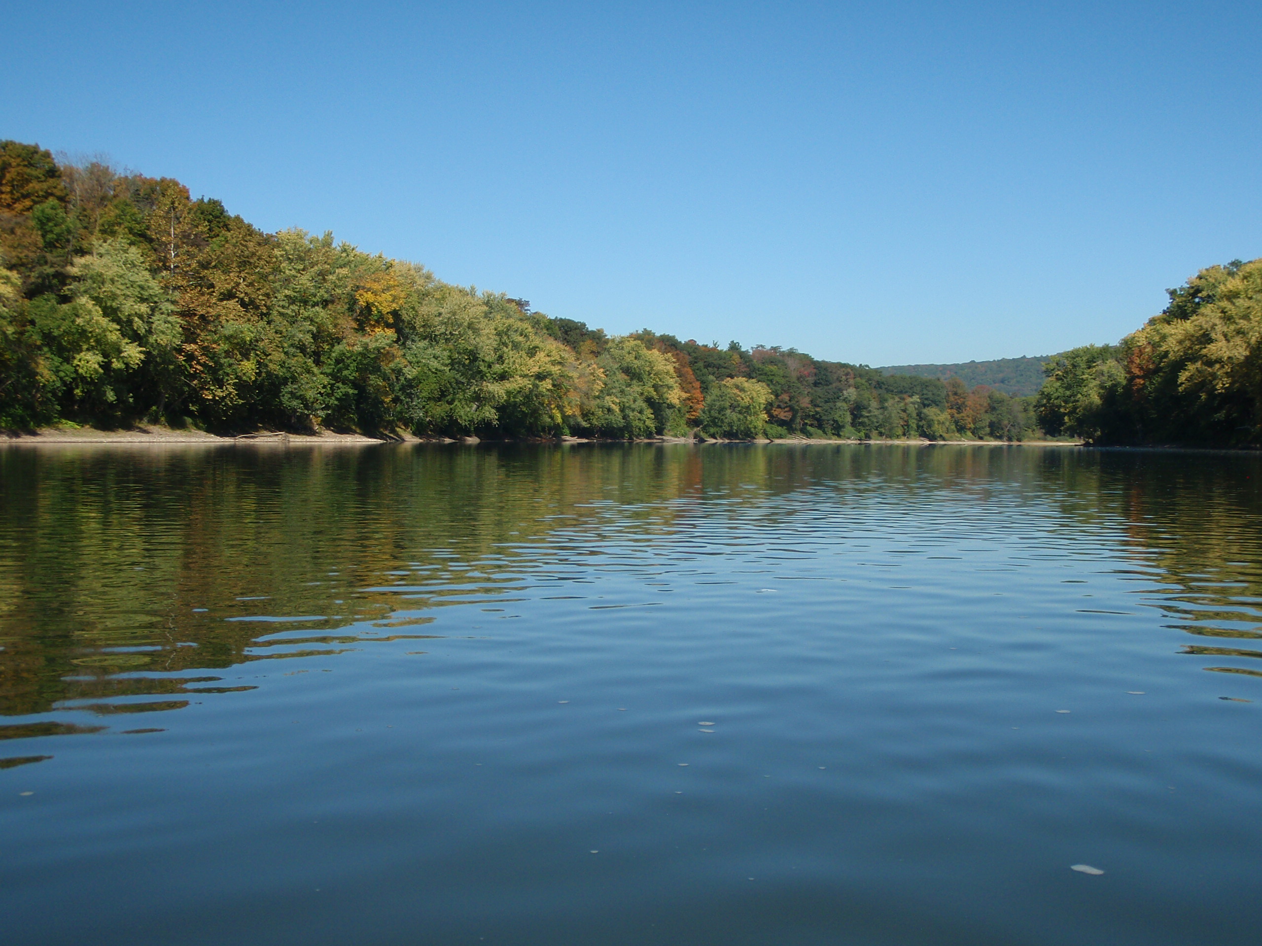 susquehanna river | Southern Tier Fly Fisher