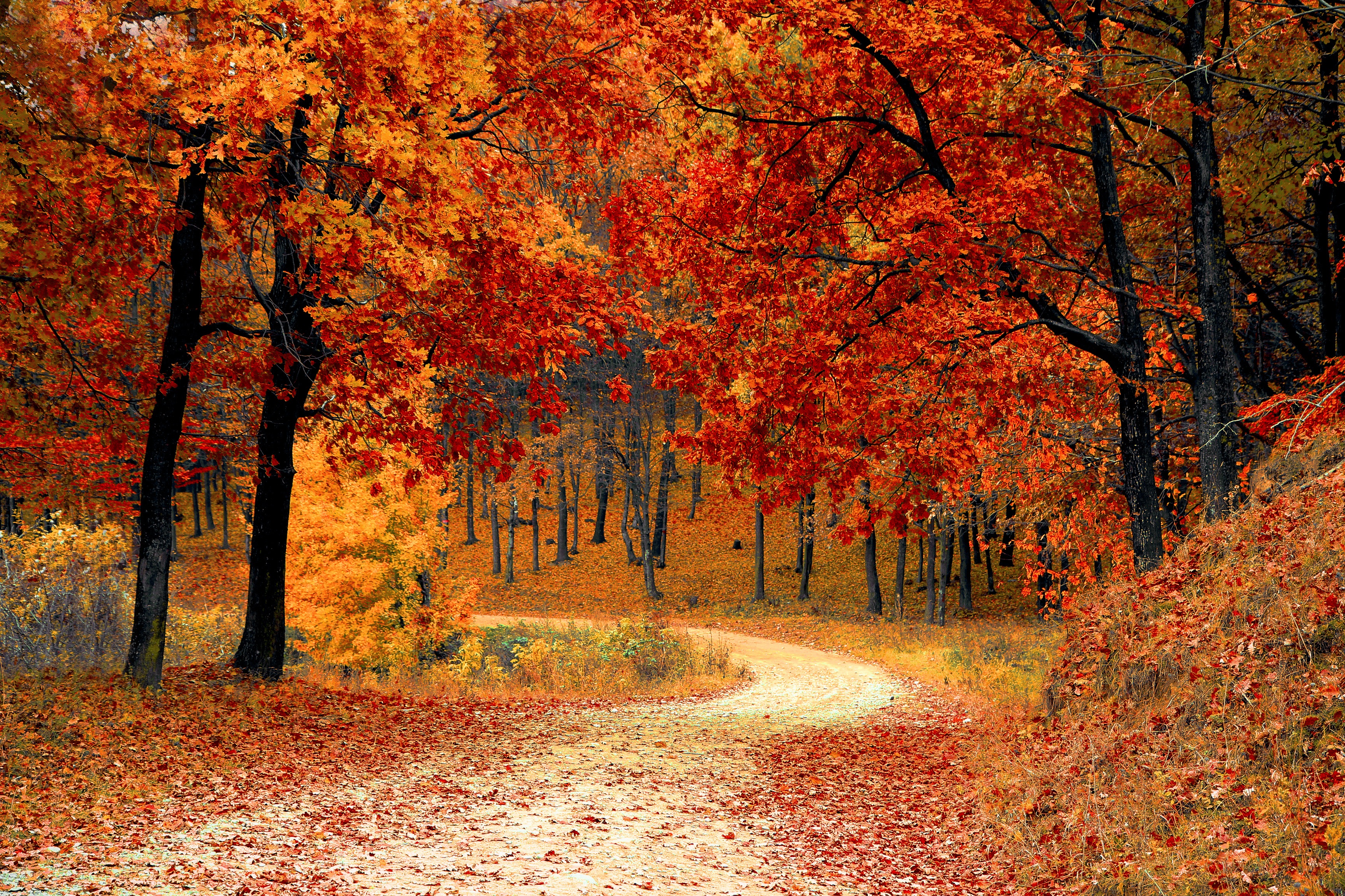 Fall for these Autumn safety tips
