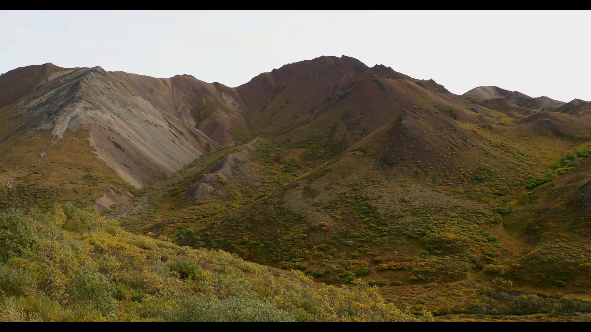 View at Sable Pass of colorful autumn valley and hills in Denali ...