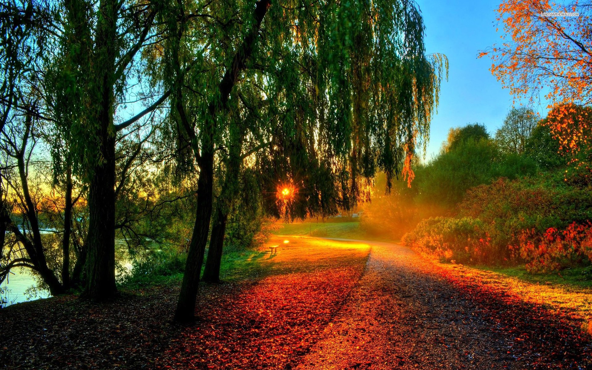 Autumn Sunset In The Park - WallDevil