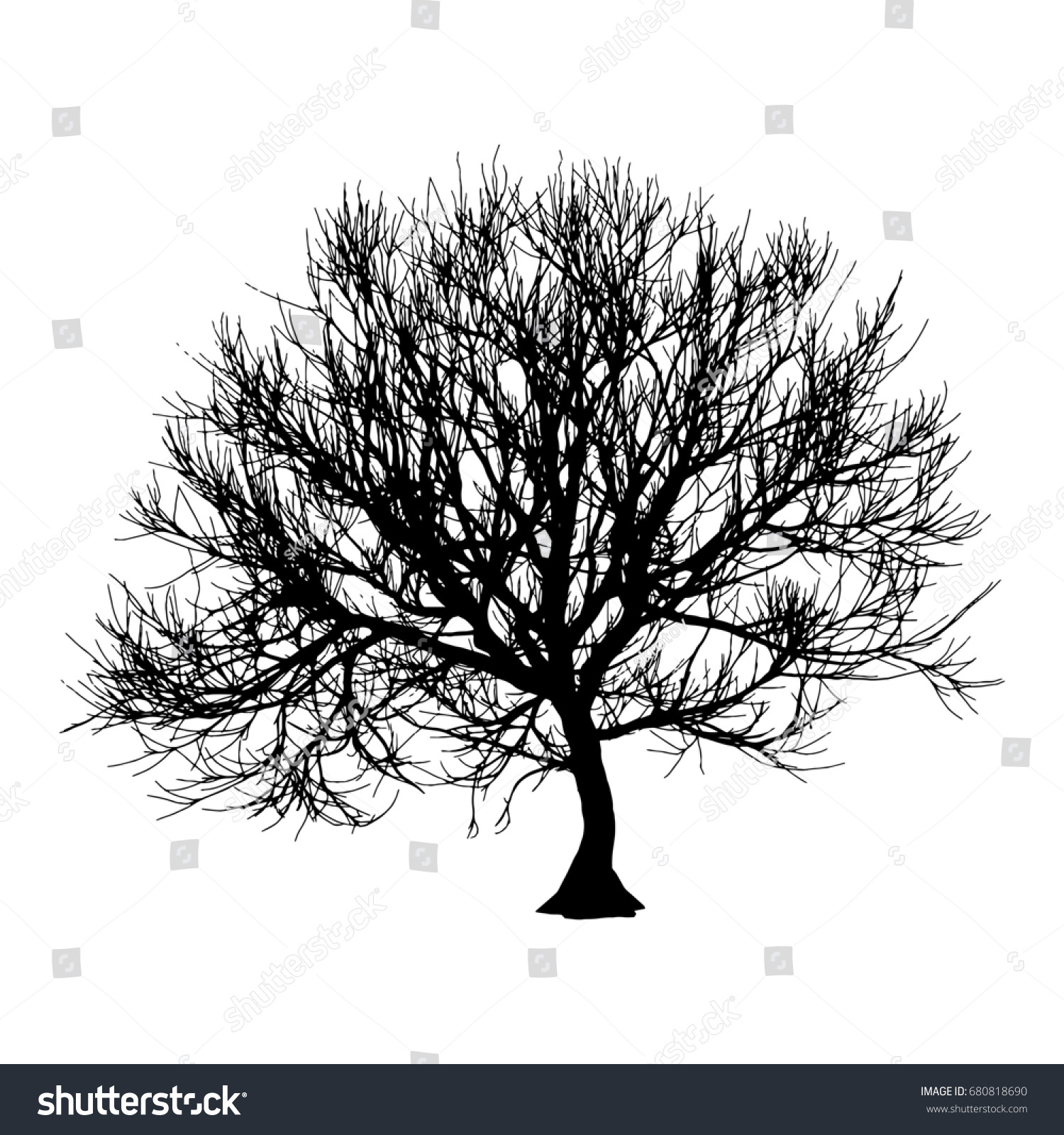 Black Dry Tree Winter Autumn Silhouette Stock Illustration 680818690 ...