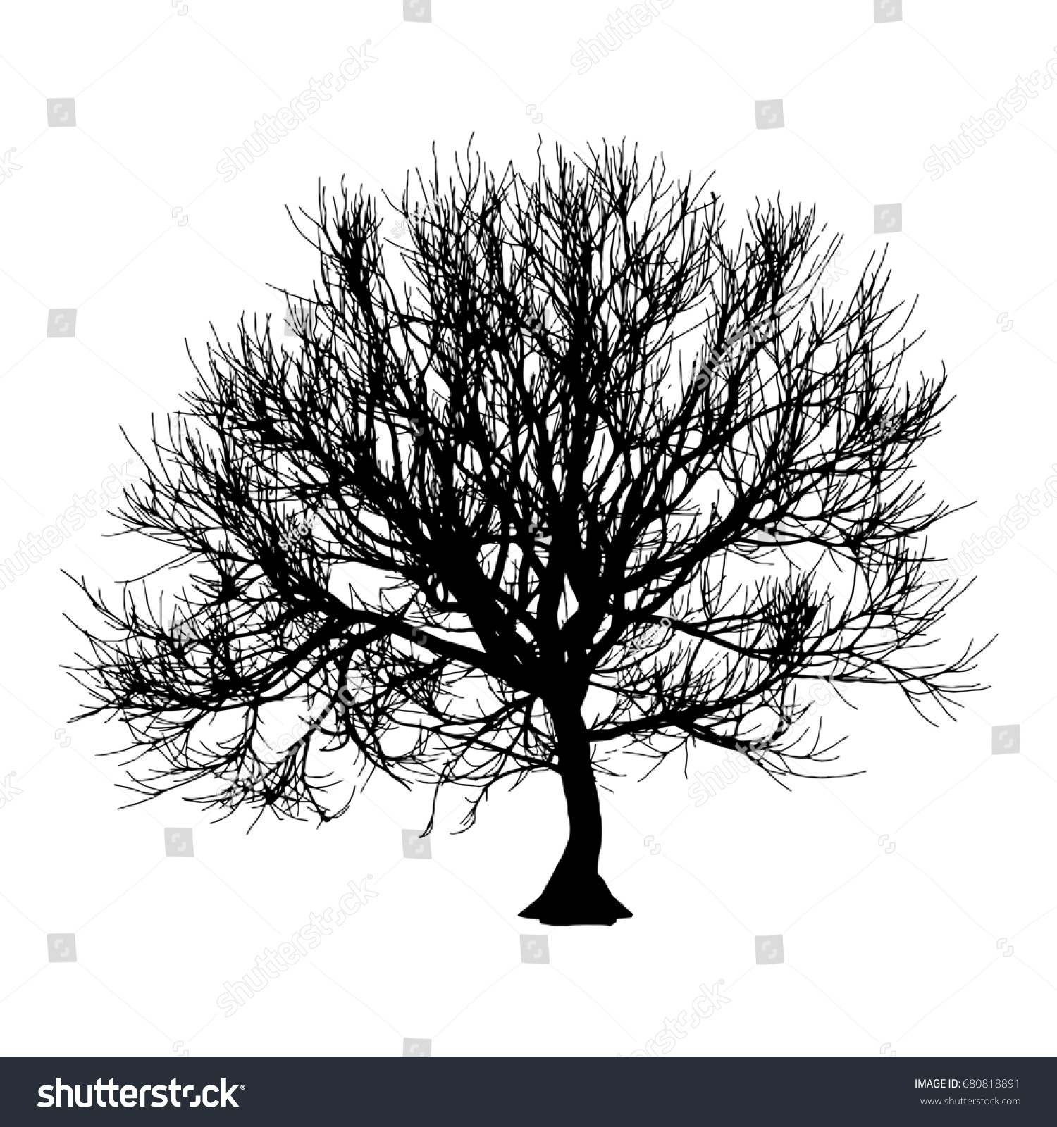Black Dry Tree Winter Autumn Silhouette Stock Illustration 680818891 ...