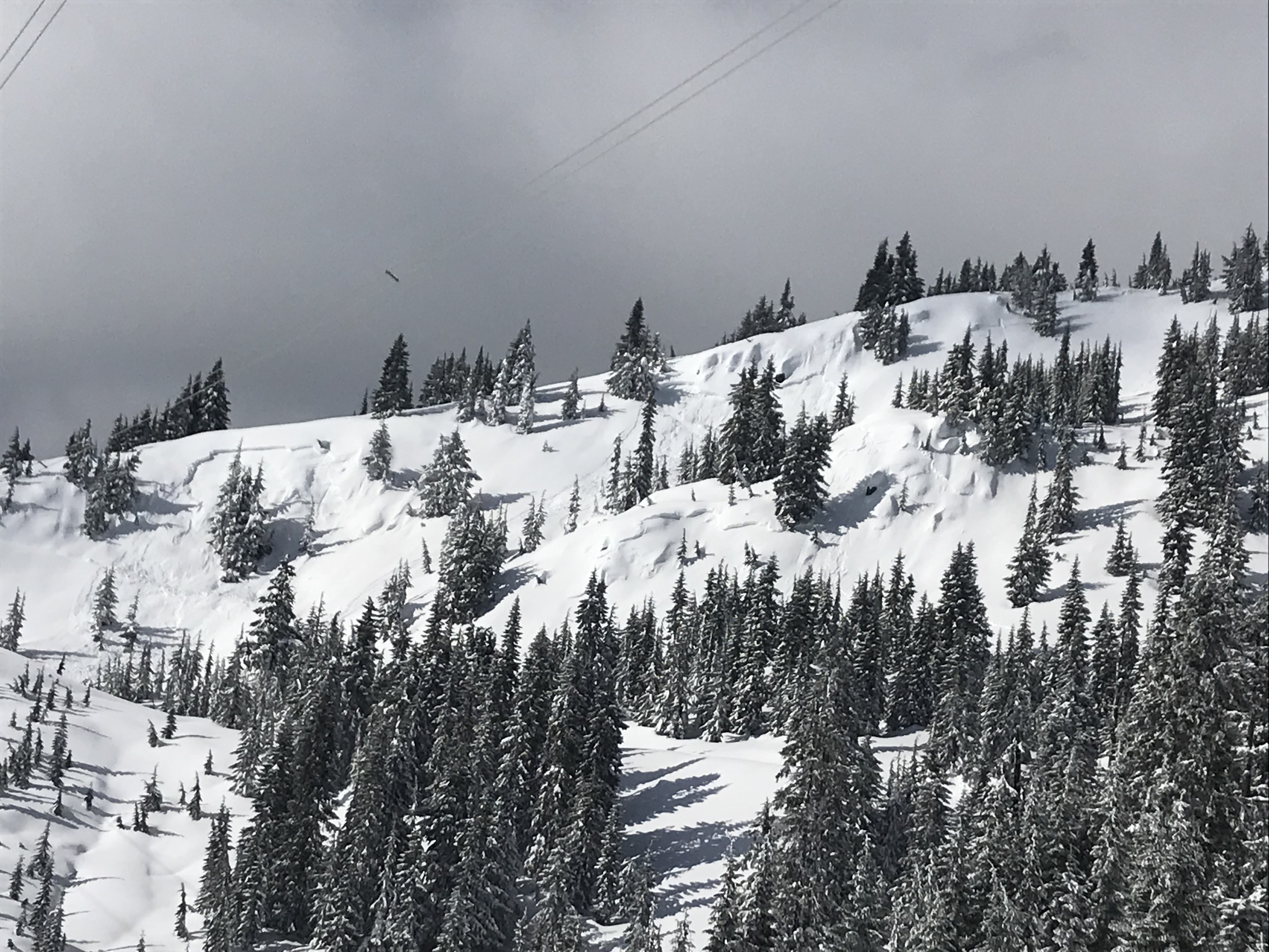 Snow Lake Divide Avalanche Fatality February 25th, 2018