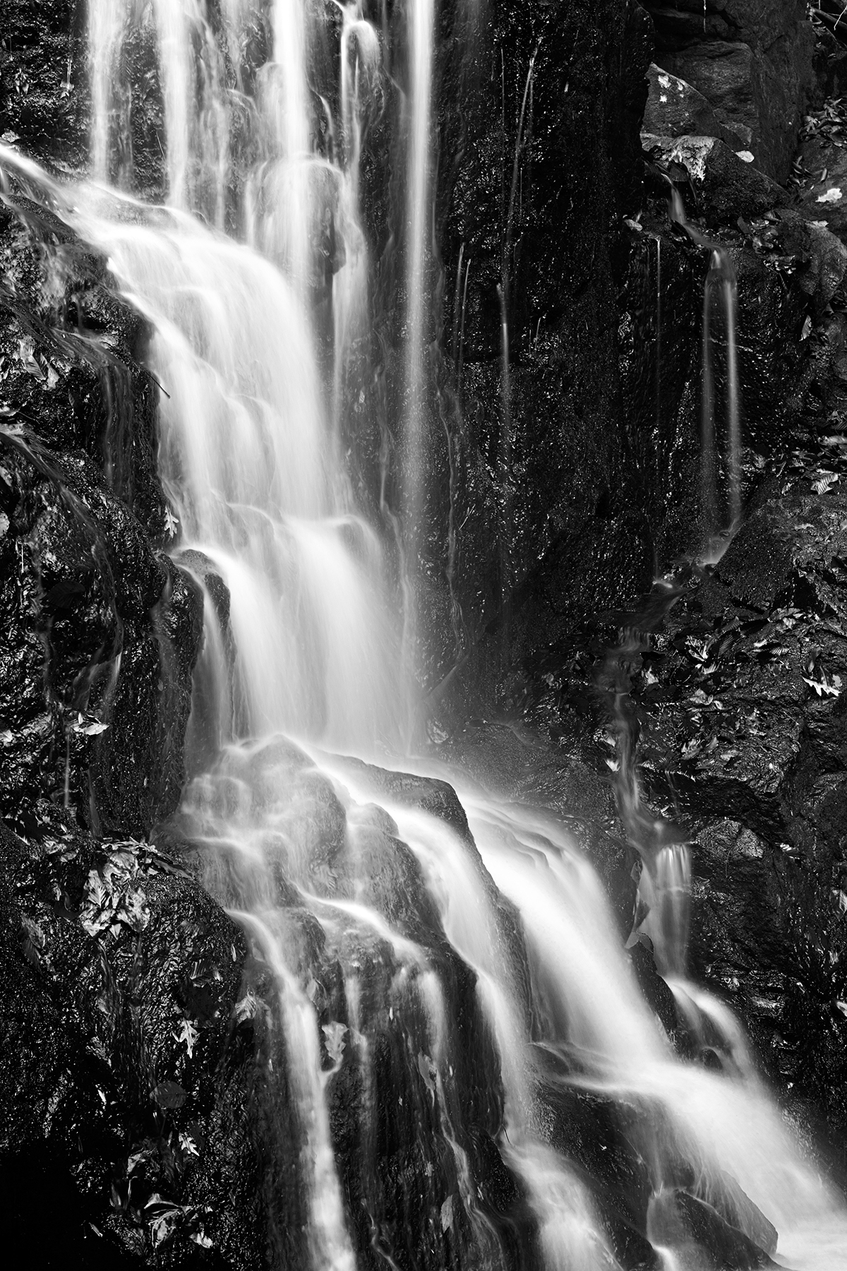 Avalon Falls - Black & White HDR, America, Park, Scenic, Scenery, HQ Photo