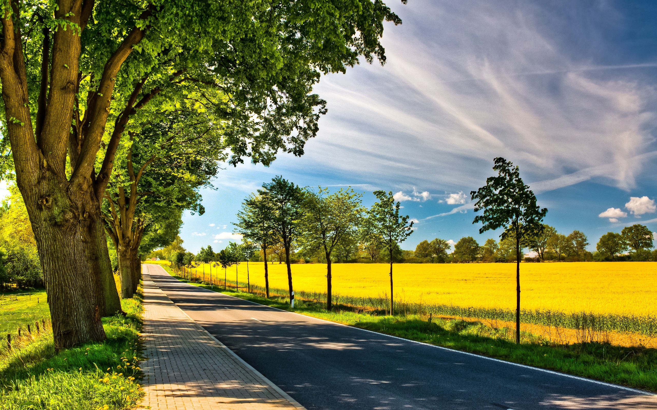 Fields: Fence Scene Beautiful Amazing View Sunny Awesome Lovely Nice ...