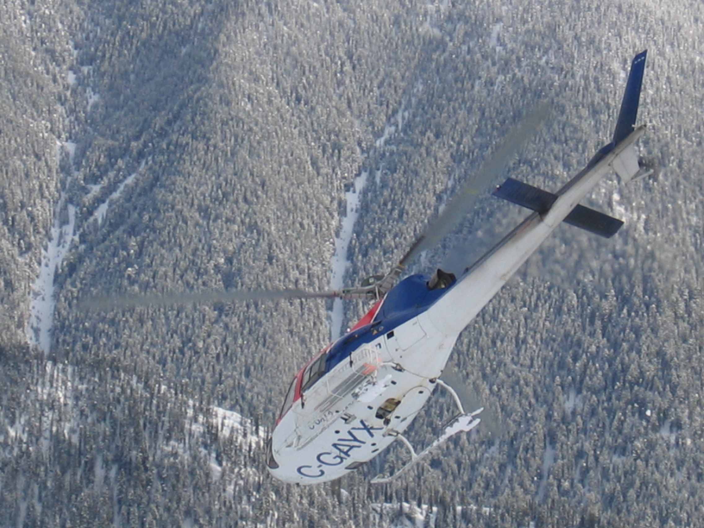 AYX Helicopter, 350, Air, Aircraft, Airplane, HQ Photo