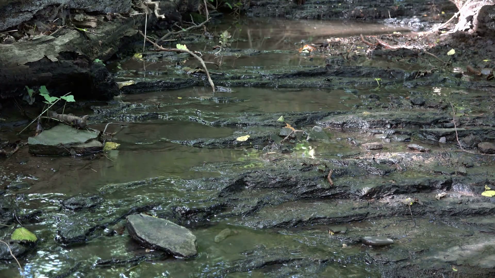 Babbling brook, small stream Stock Video Footage - Videoblocks