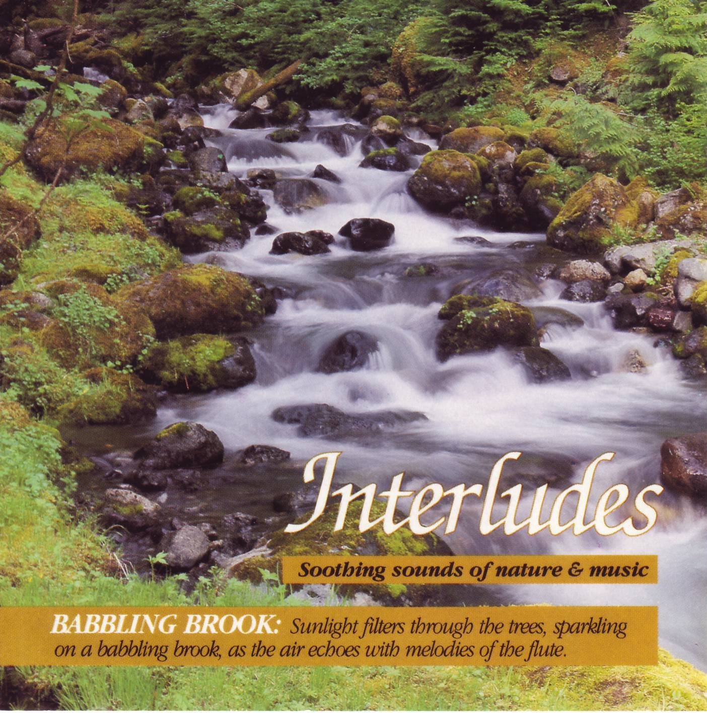 Steven Gruskin, Vinnie Della-Rocca - Interludes: Babbling Brook ...