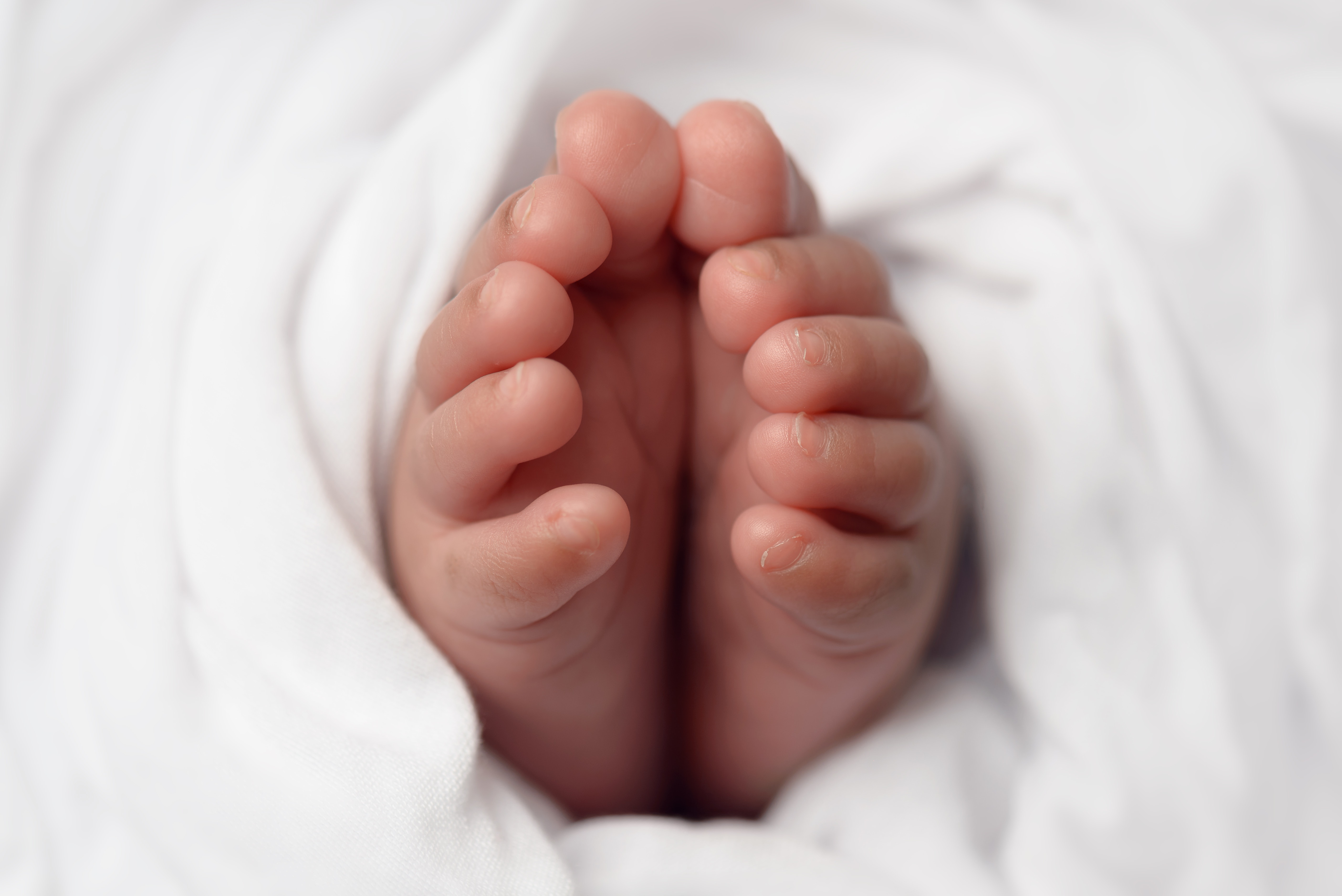 Babies feet selective focus photo