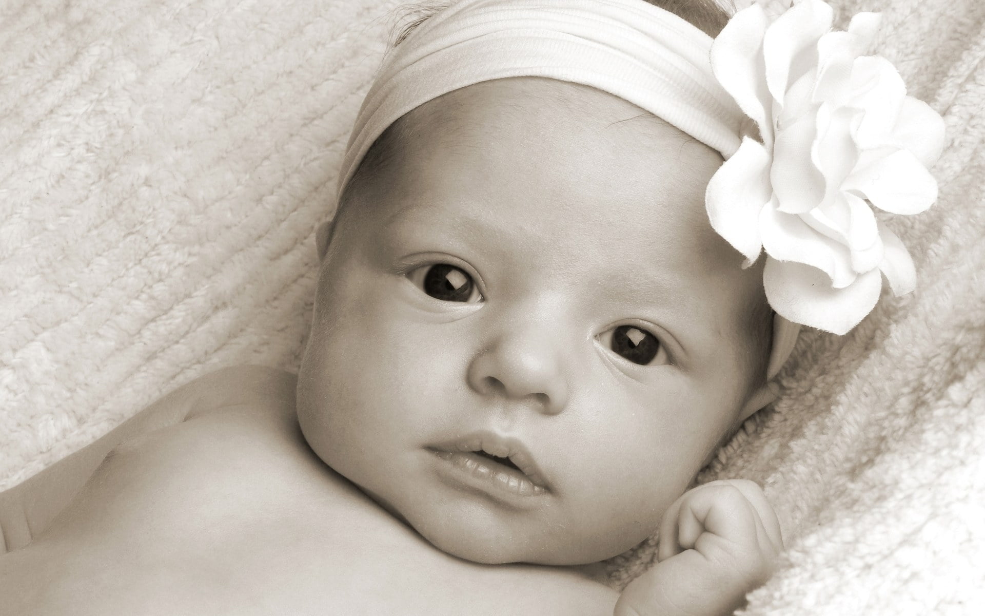 Grayscale photo of baby's white headband with flower accent HD ...