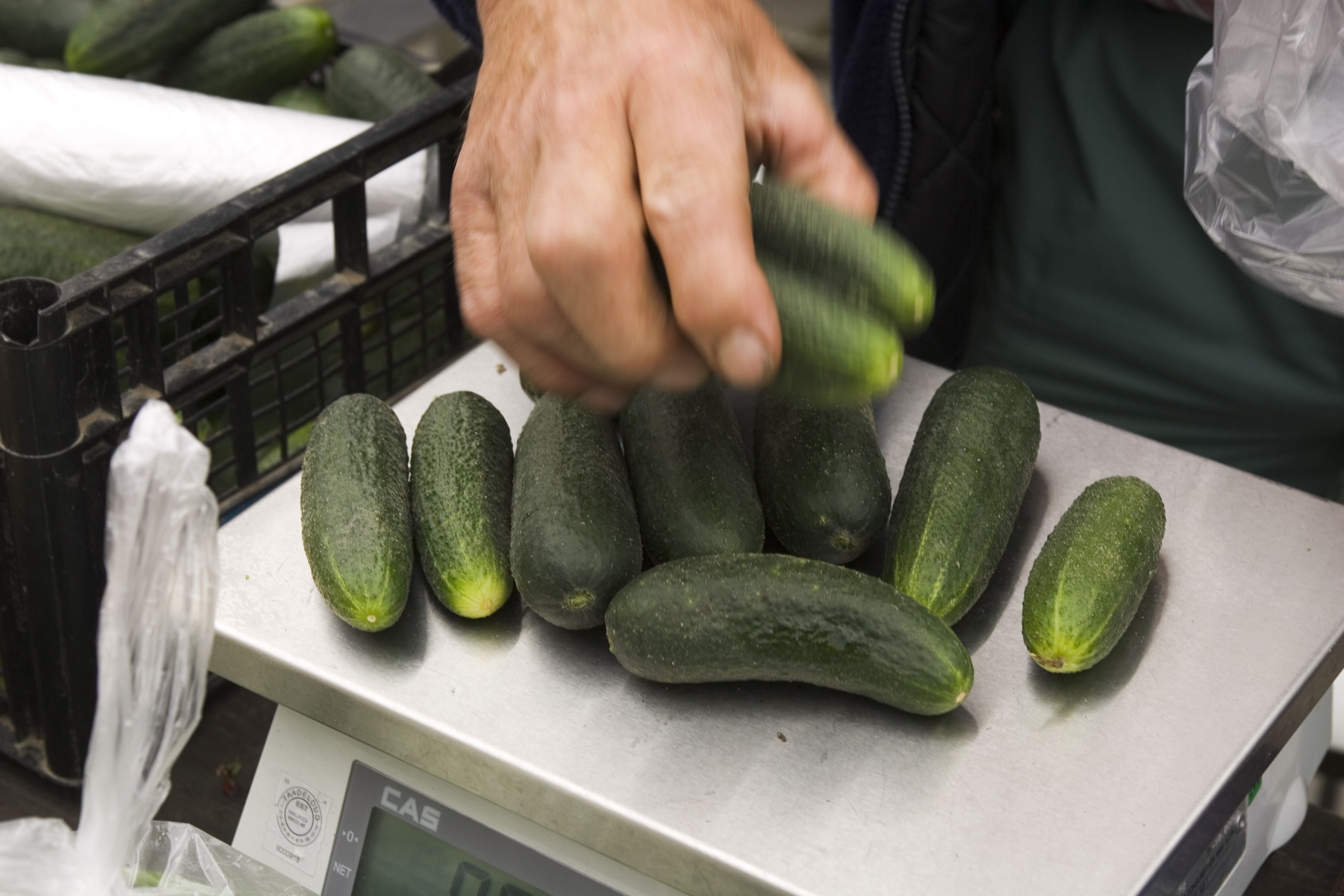 The Nutrition of Seedless Baby Cucumbers | LIVESTRONG.COM
