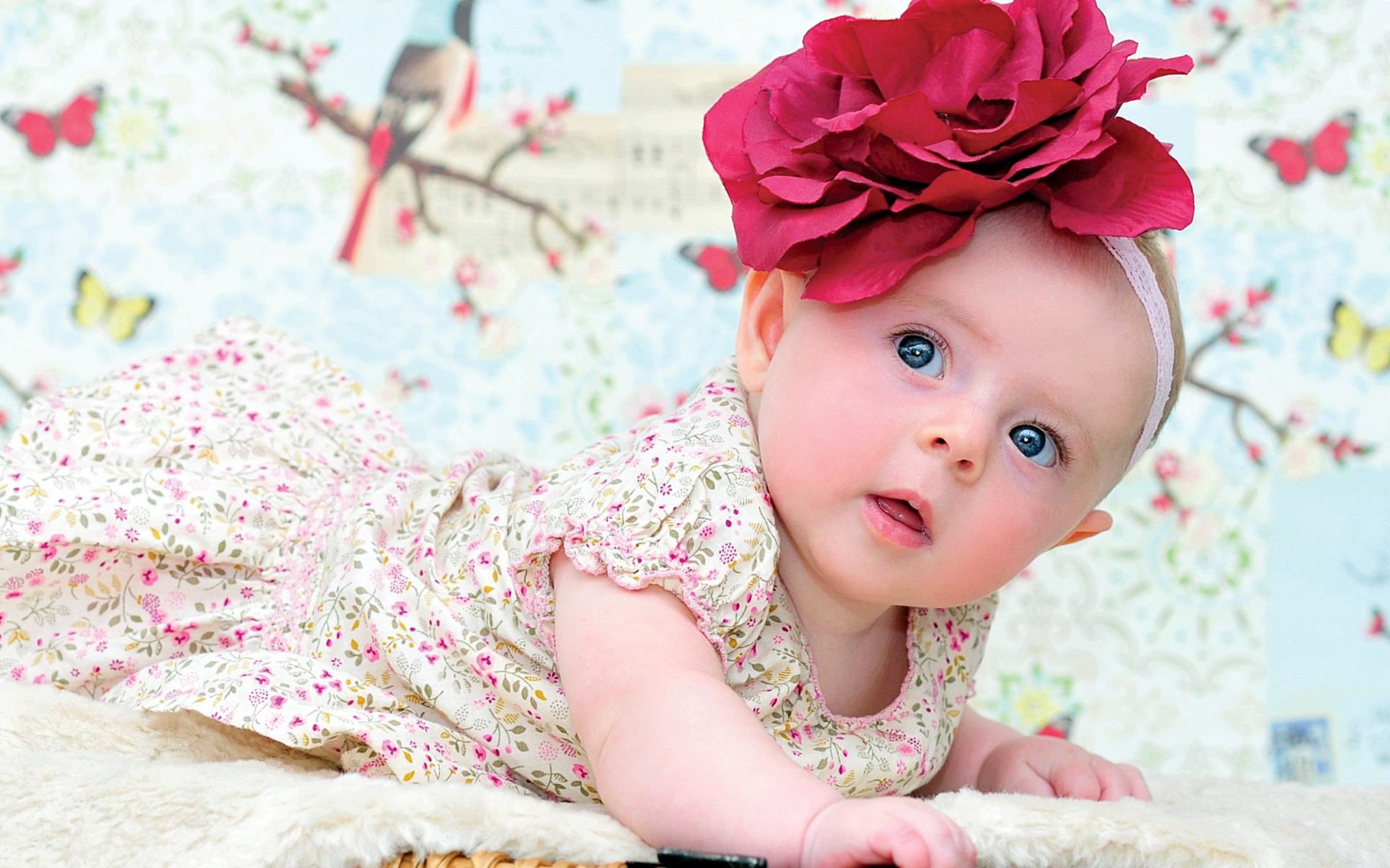 Free Baby Girl Images Full Hd Pics Wallpaper Items Of Explore ...