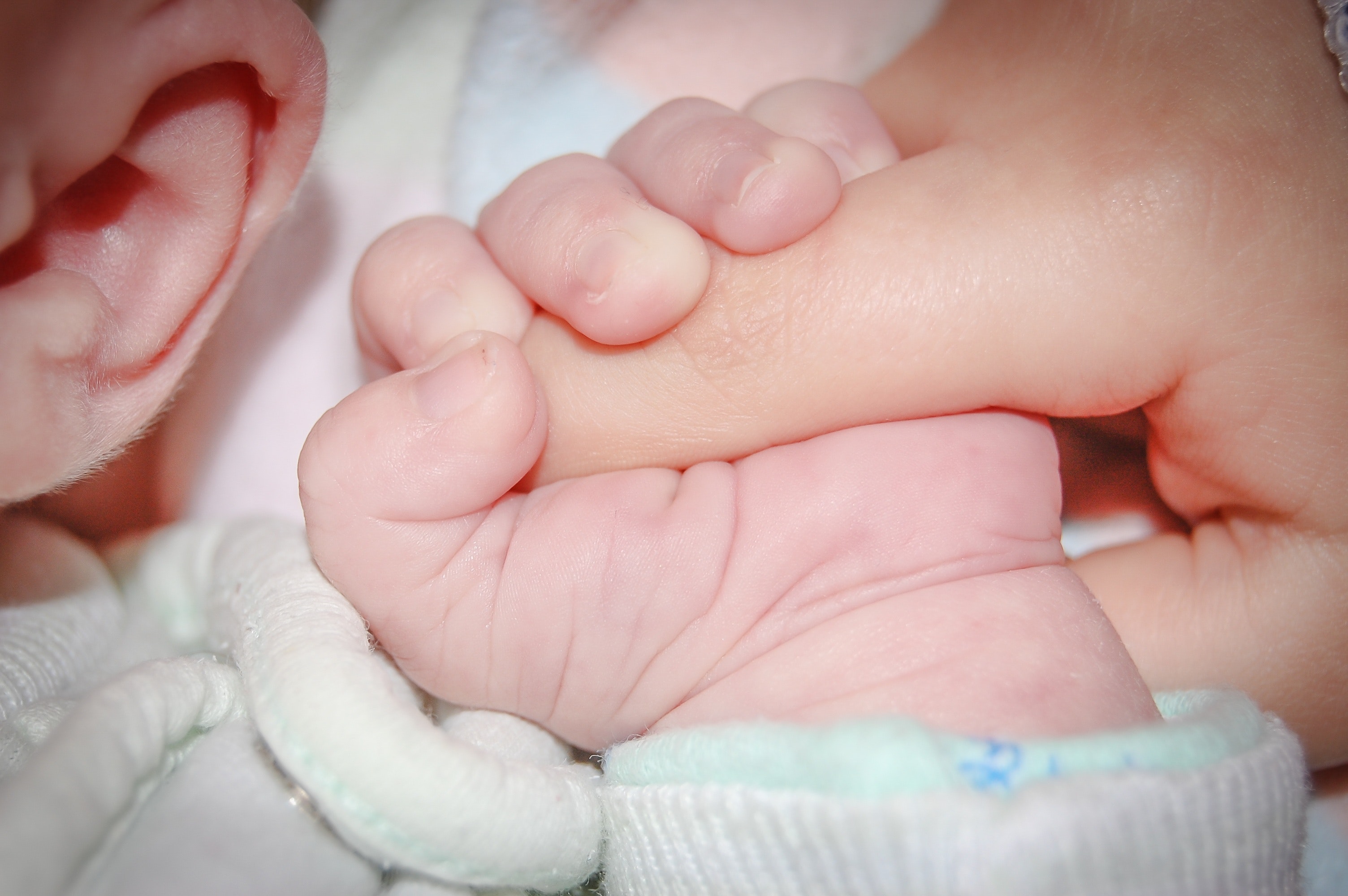 Baby Holding Human Index Finger, Baby, Child, Comfort, Contact, HQ Photo