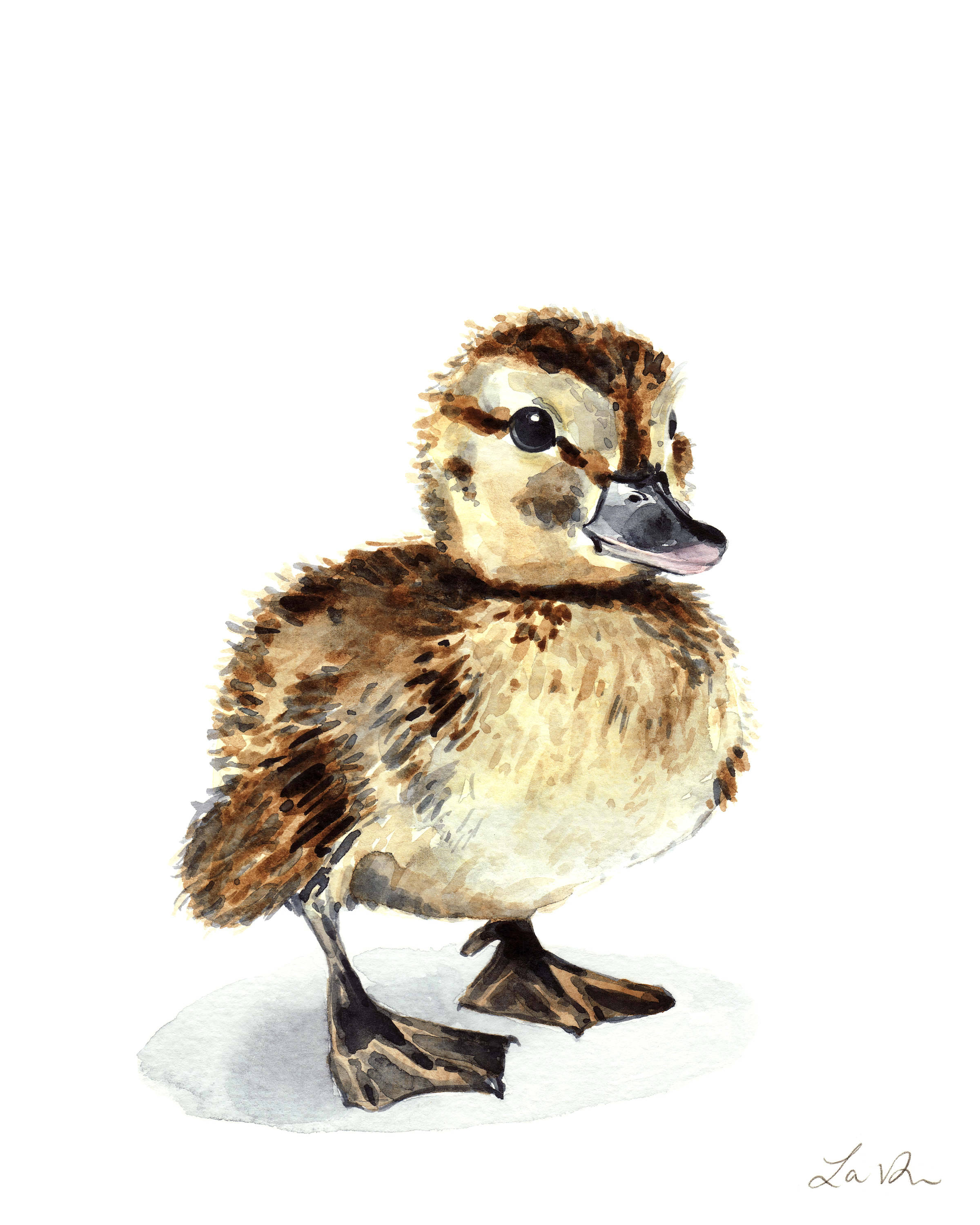 Mallard Duck Art 3 Duckling Print Baby Duck Nursery Wall Art