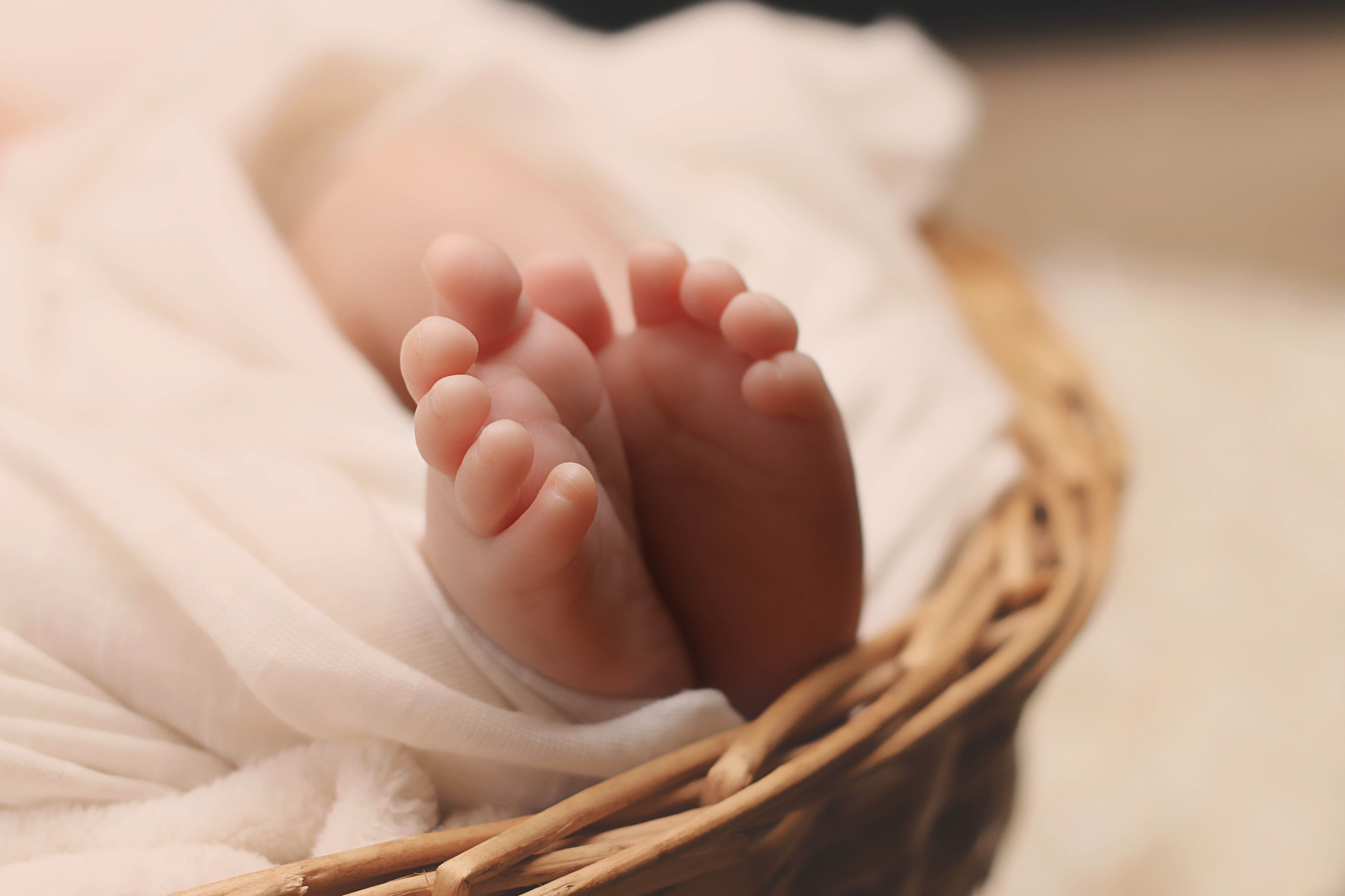 Newborn baby feet photo