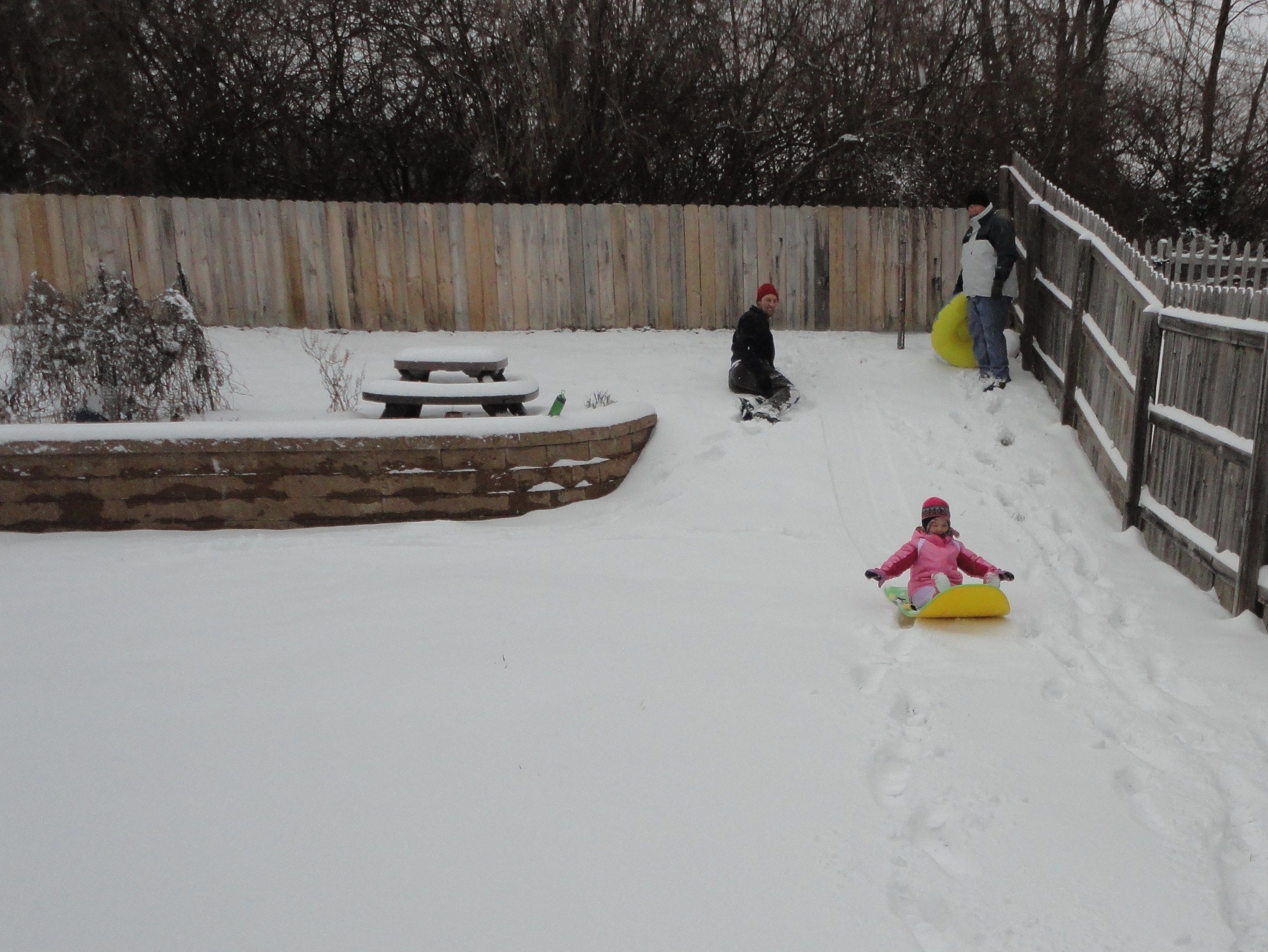 Backyard sledding | Help find this house a new family | Pinterest ...