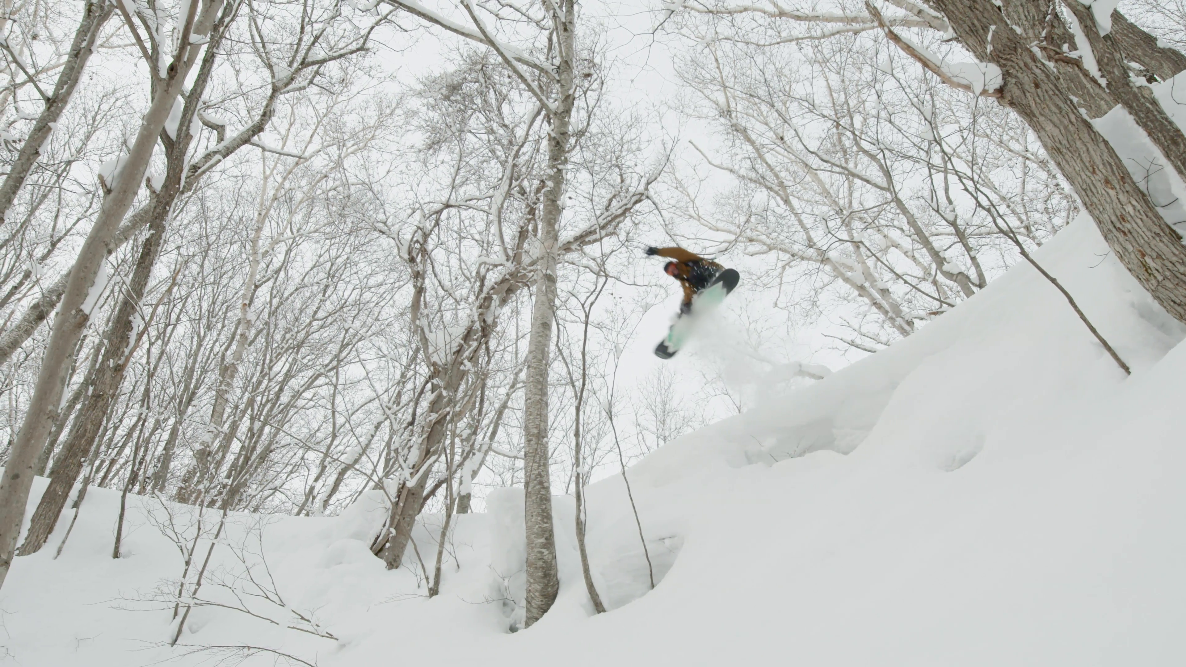 Snowboarder Big Jump Grabbing His Snowboard Indy Air into a Powder ...